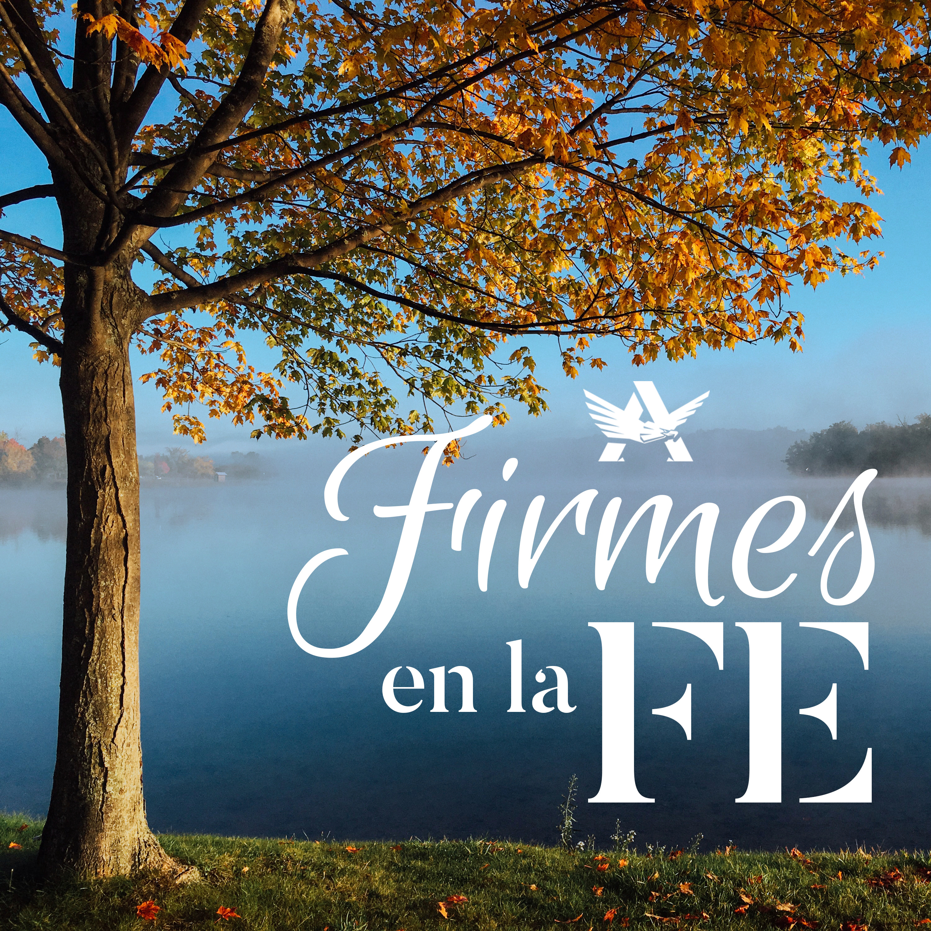Firmes en la Fe - Roy Urrieta episode artwork
