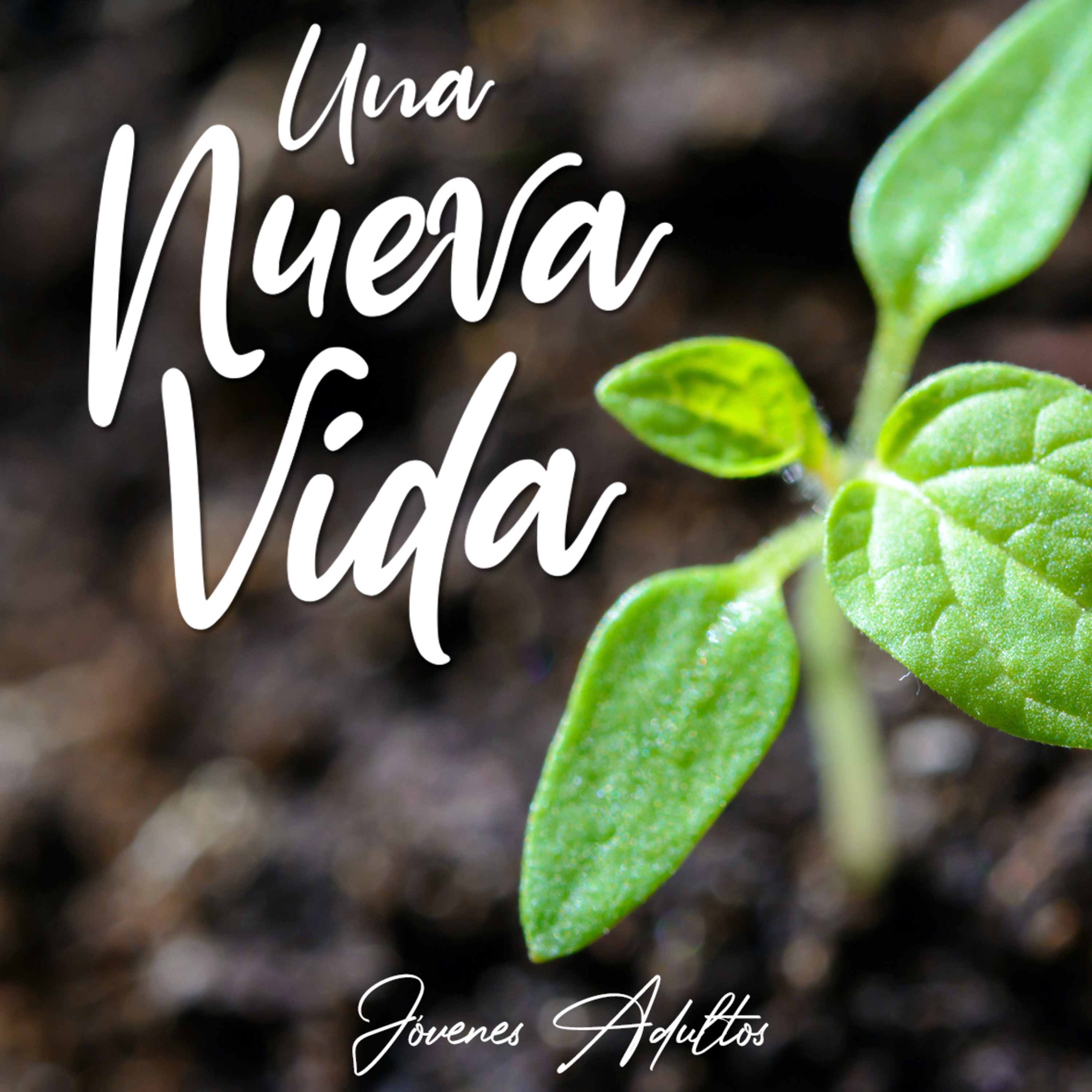 Una Nueva Vida - Roy Urrieta episode artwork