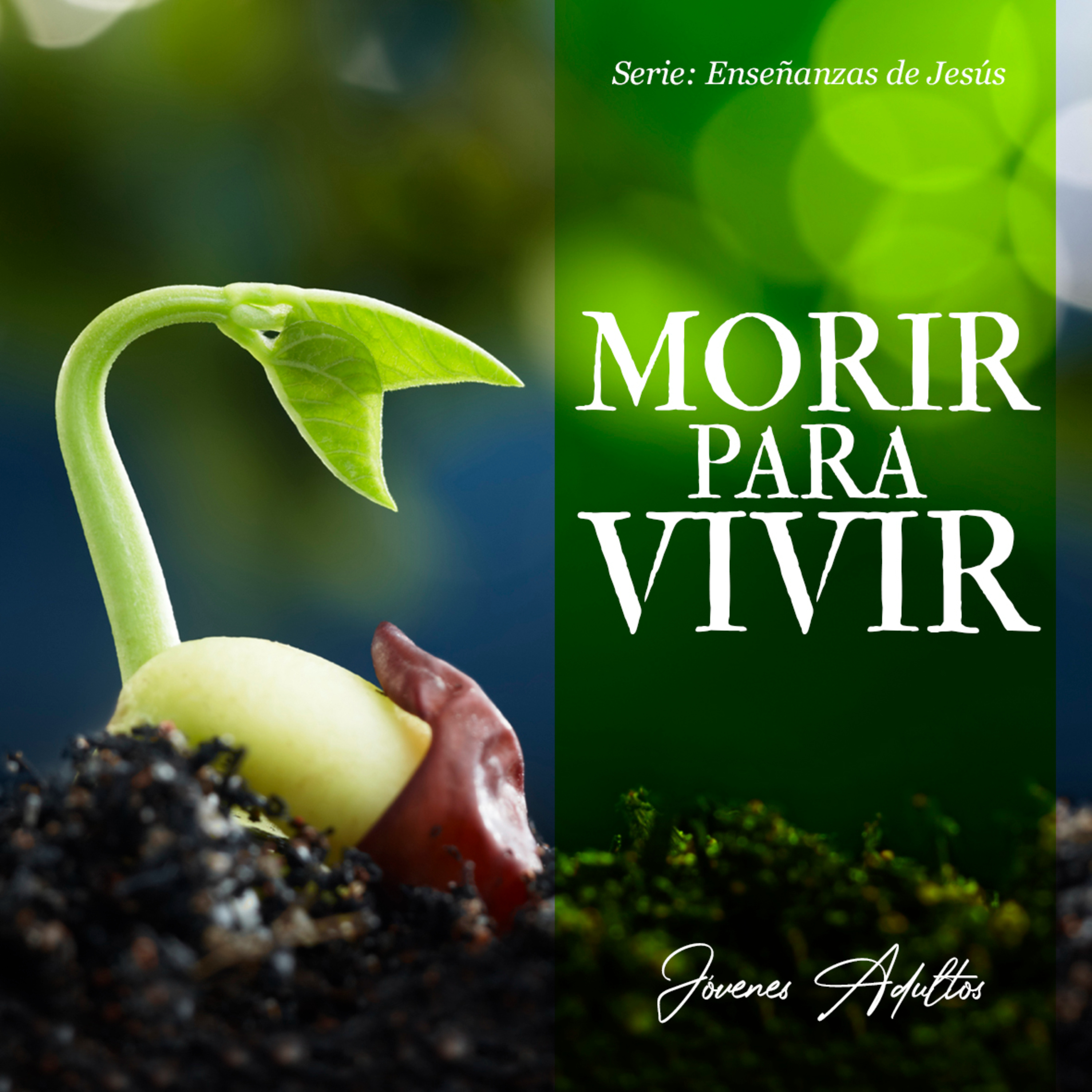 Morir para vivir - Roy Urrieta 