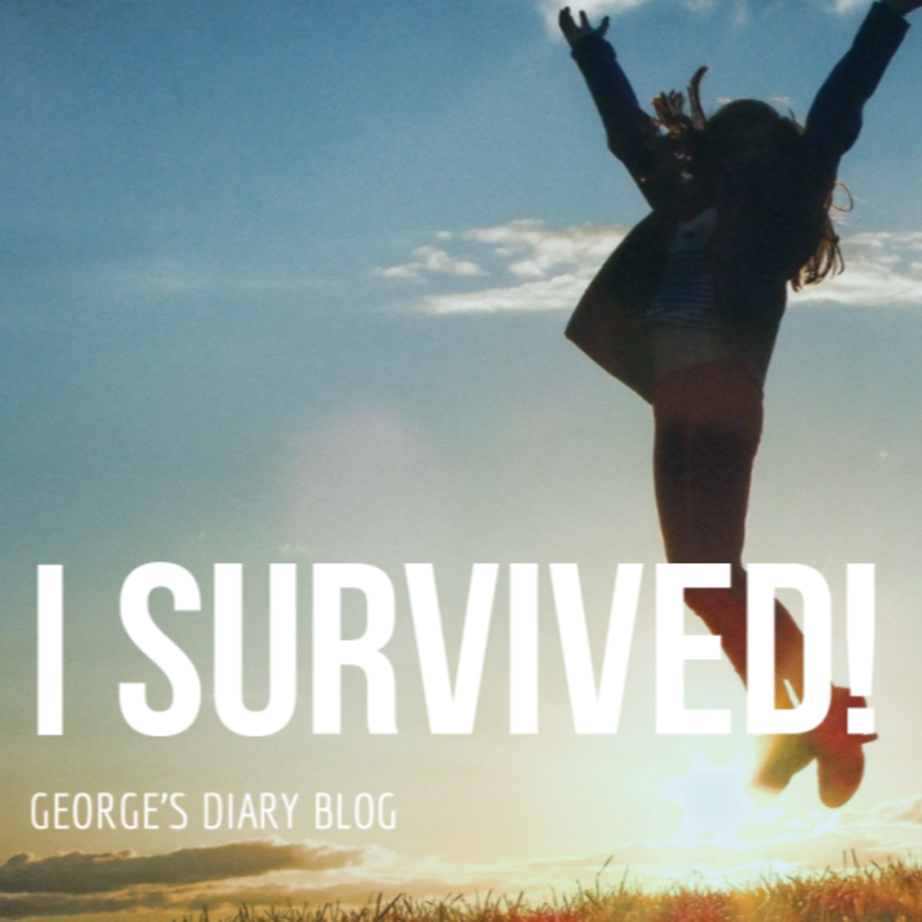 George\'s Diary
