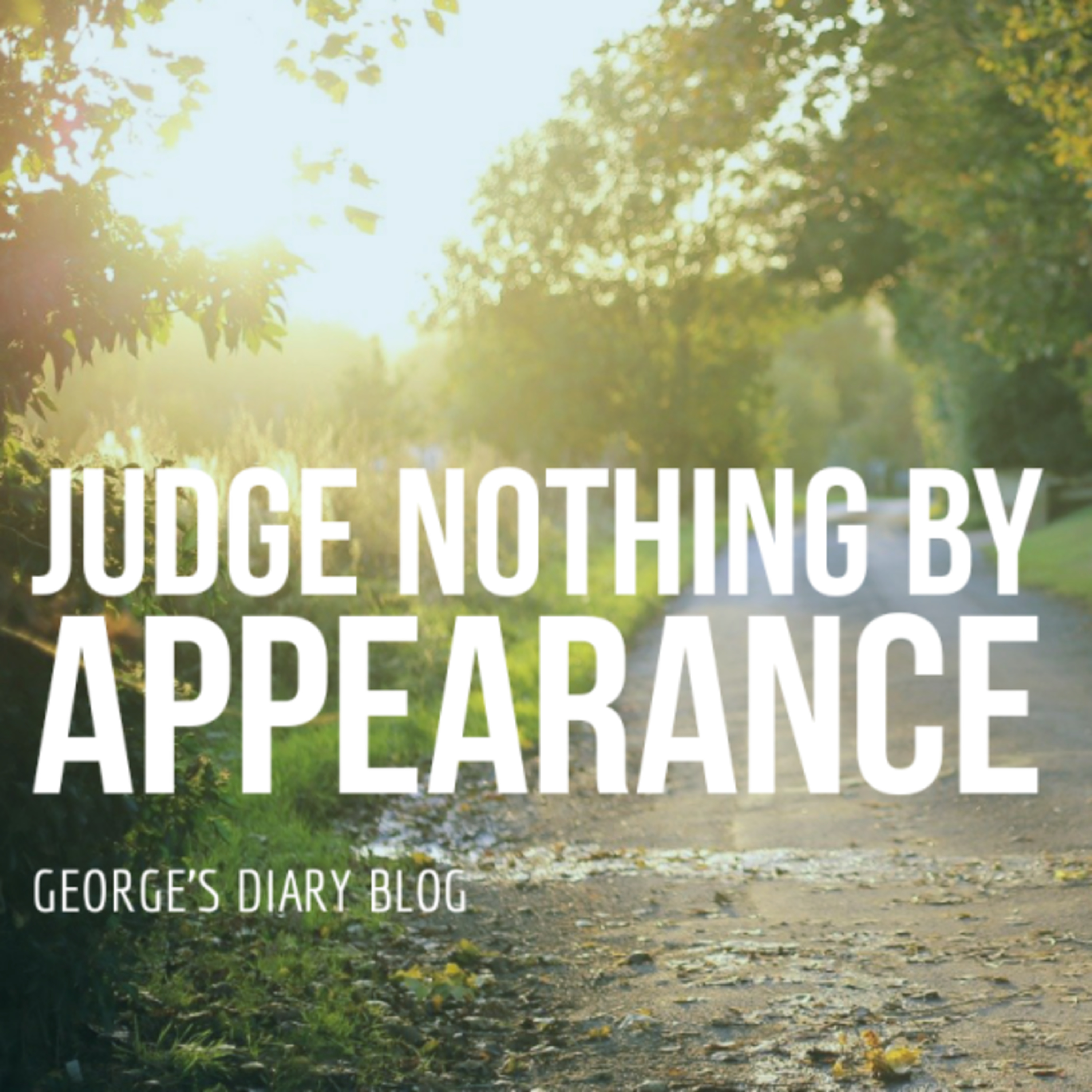 George\'s Diary