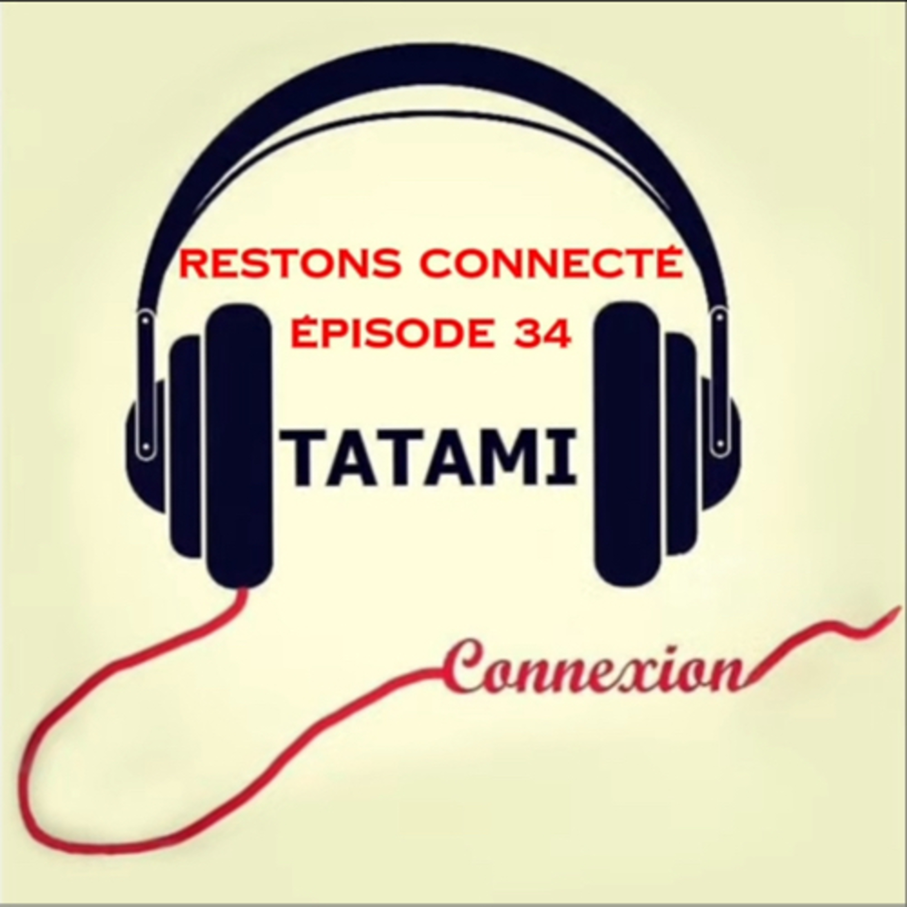 TATAMI Connexion