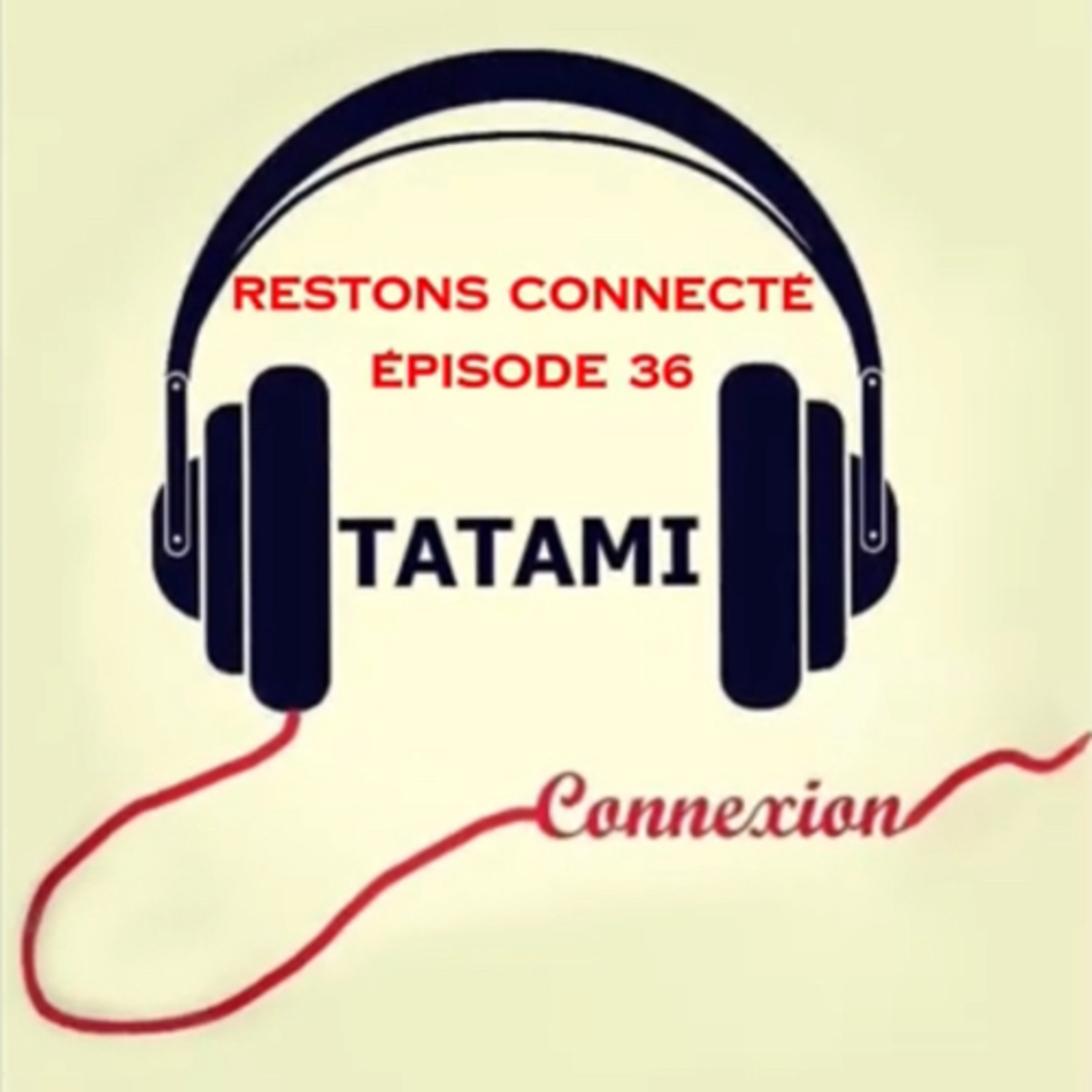 TATAMI Connexion