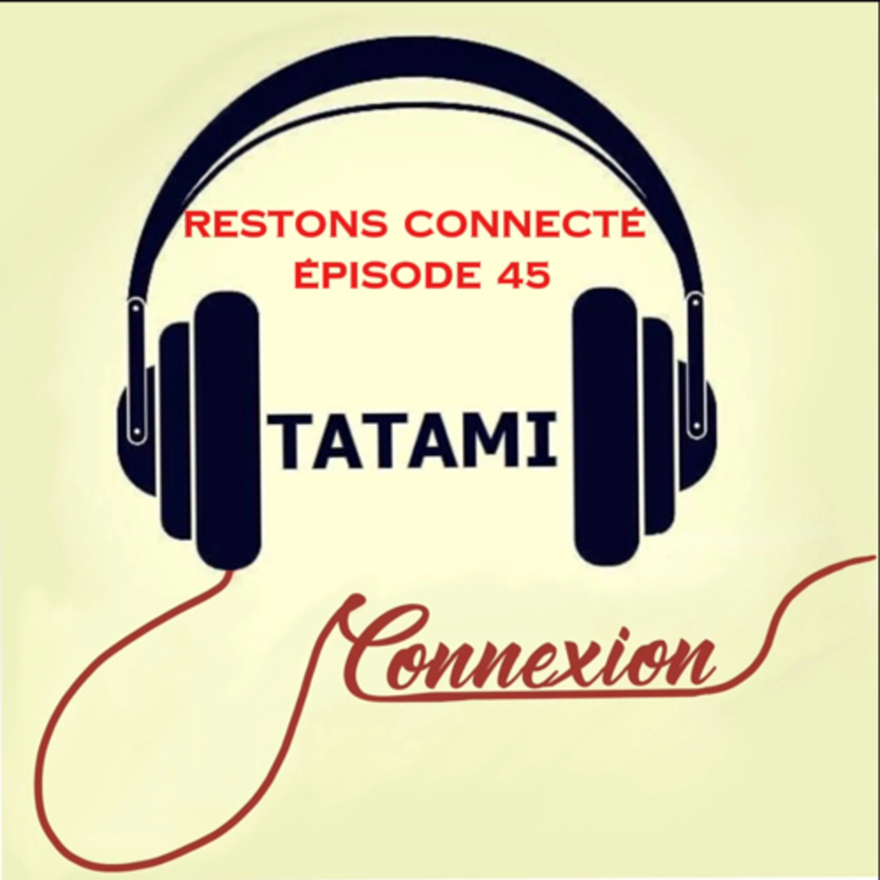 TATAMI Connexion
