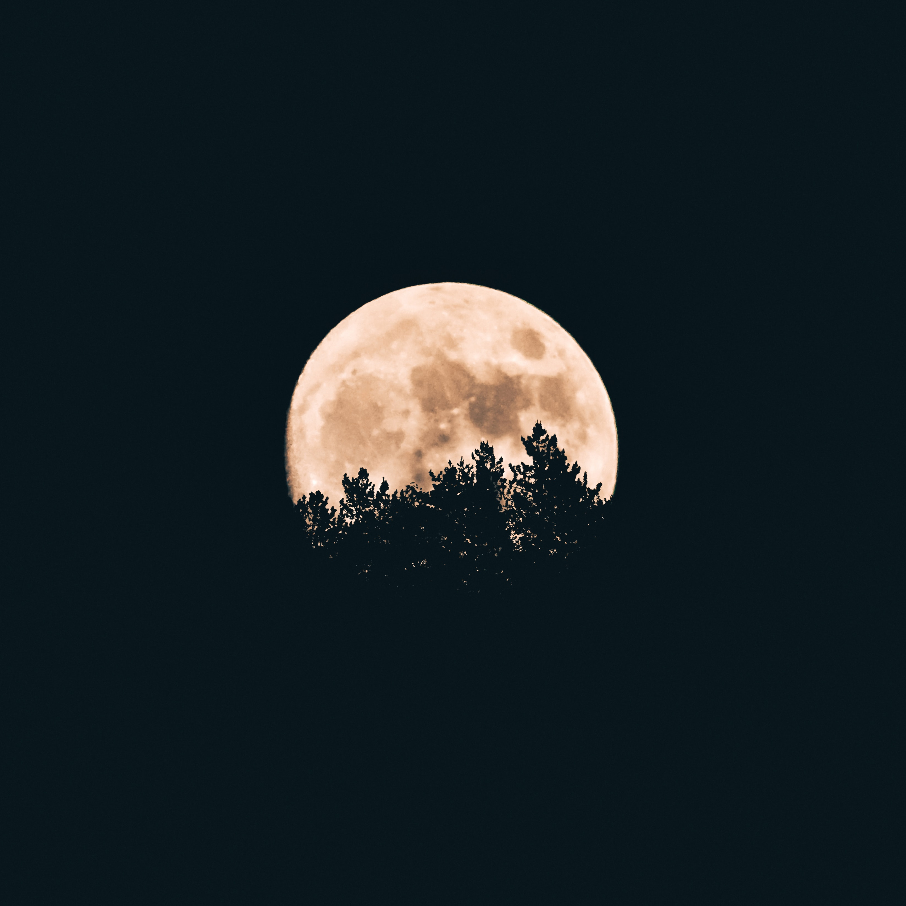 Natureza Íntima