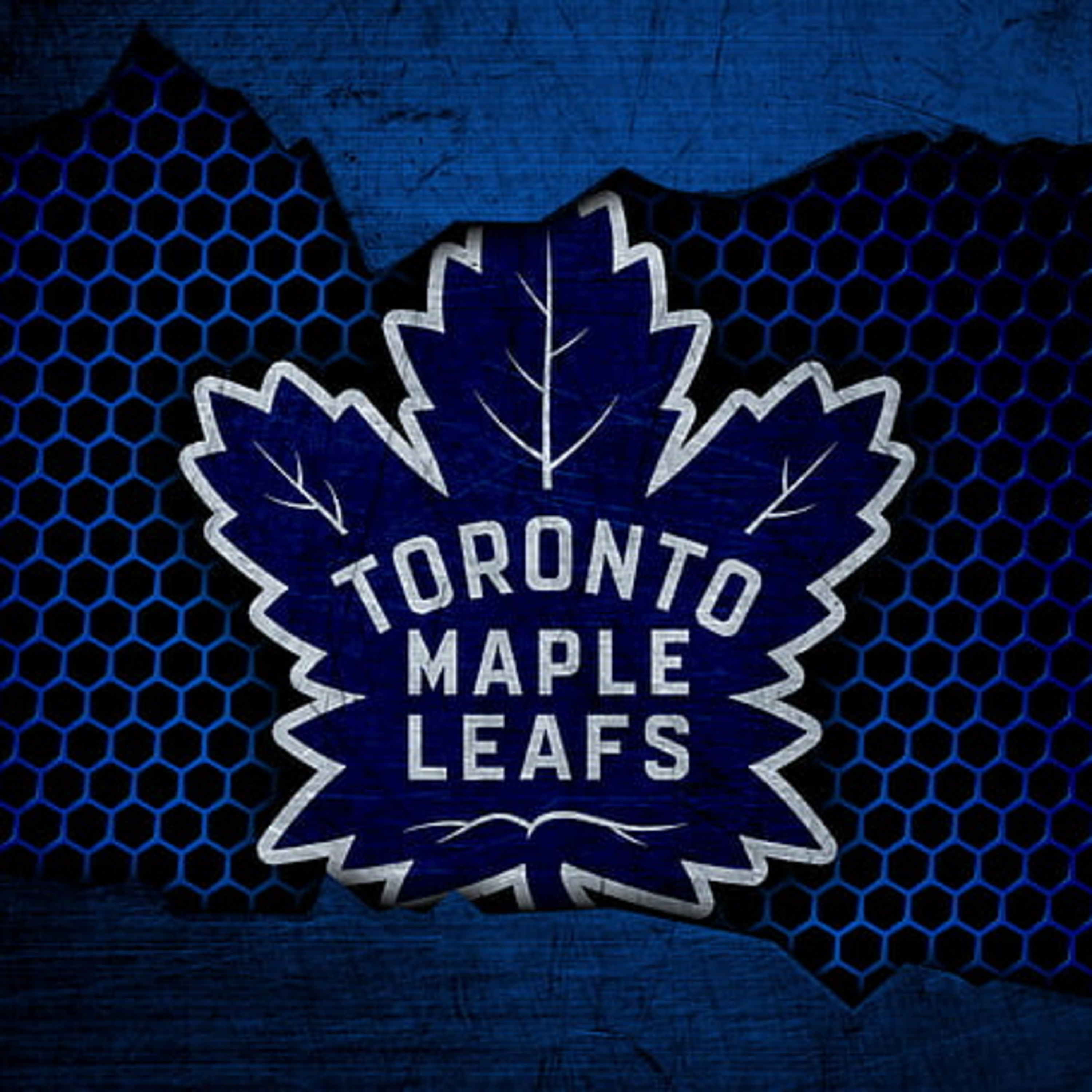 Ottawa Senators and Toronto Maple Leafs game