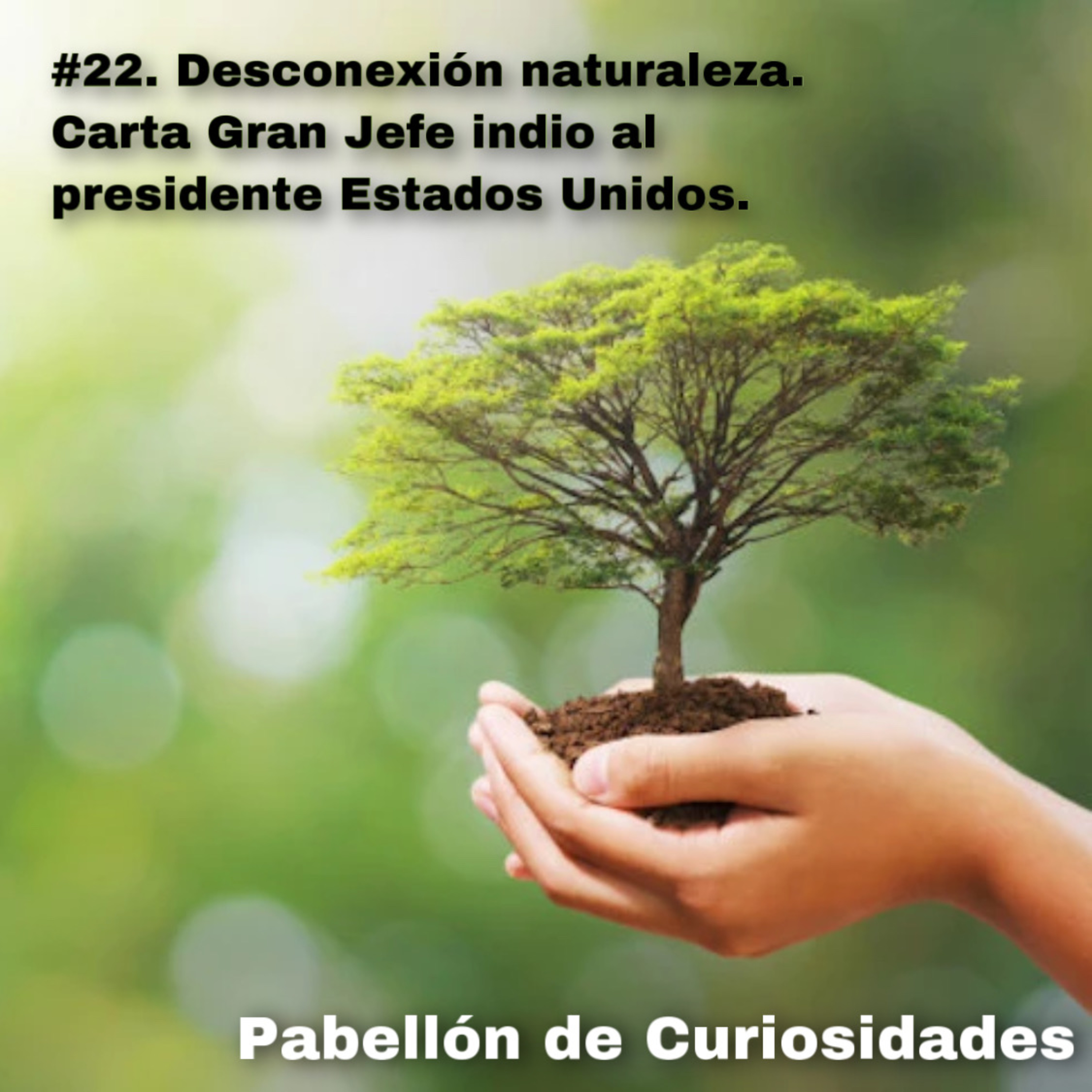 #22. Desconexión con la Naturaleza. Carta del Gran Jefe Indio al Presidente de los Estados Unidos