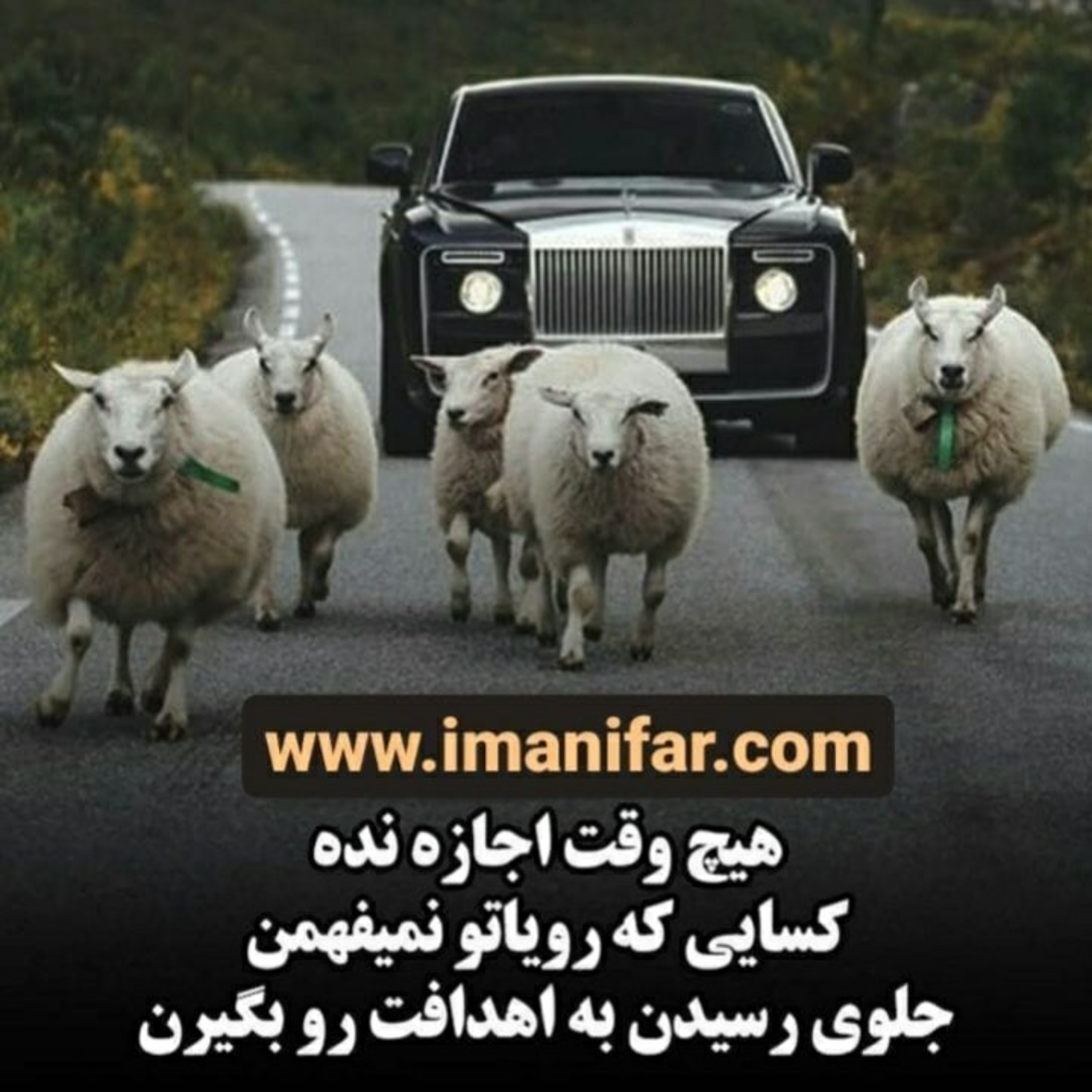 کاور هدف هدف هدف ! ! !
