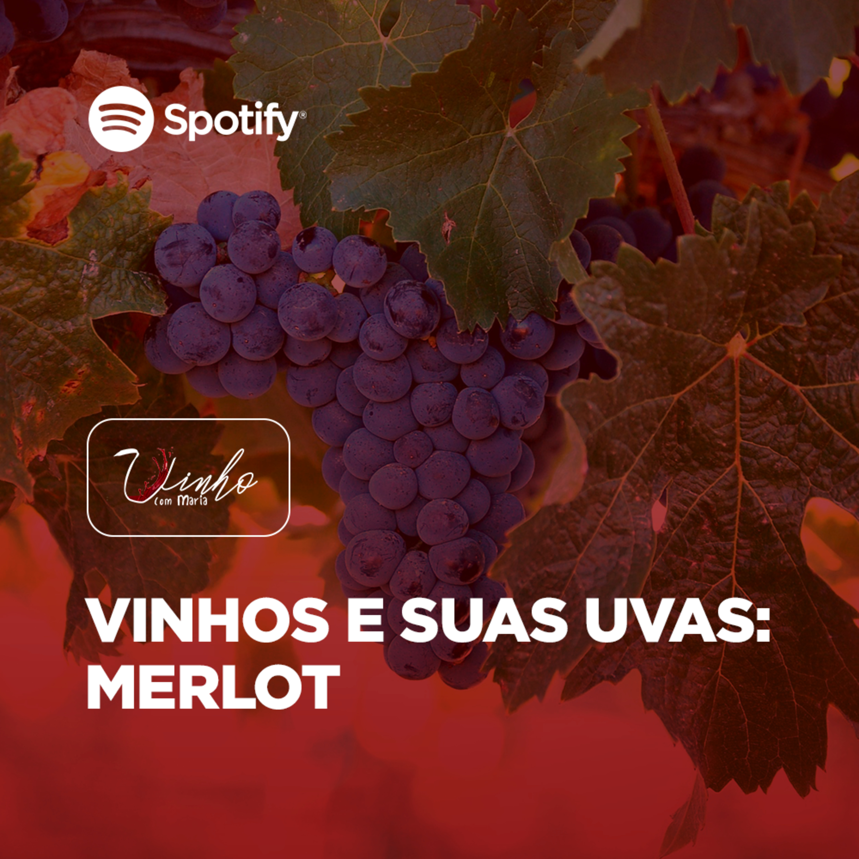 Vinho com Maria