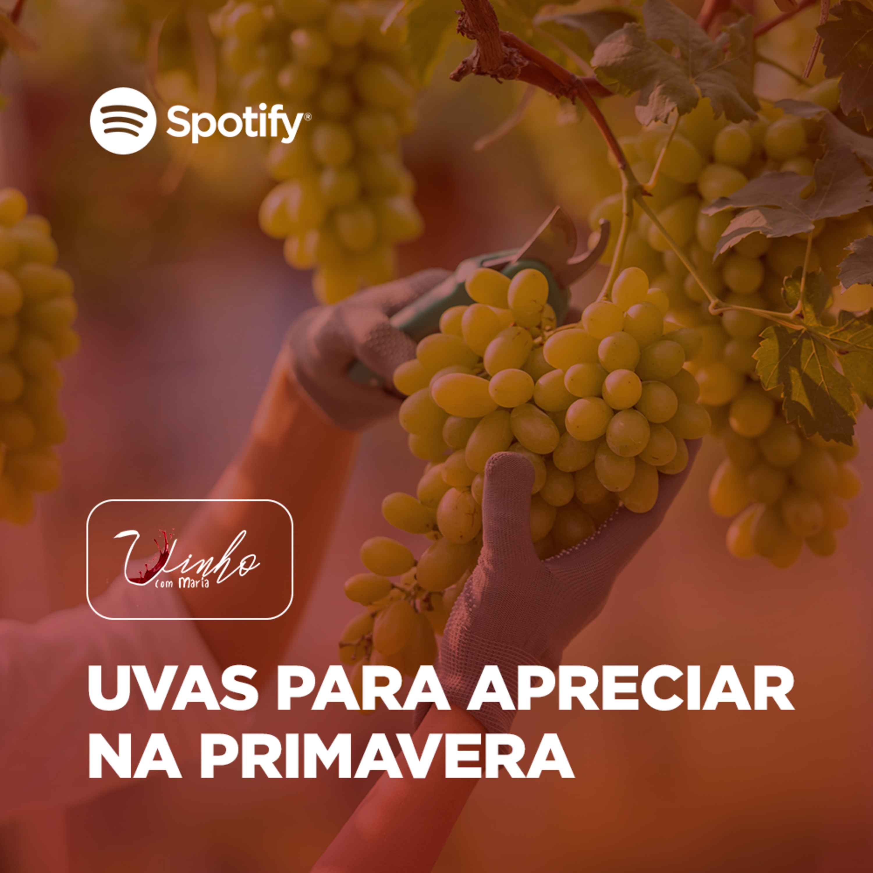 Vinho com Maria