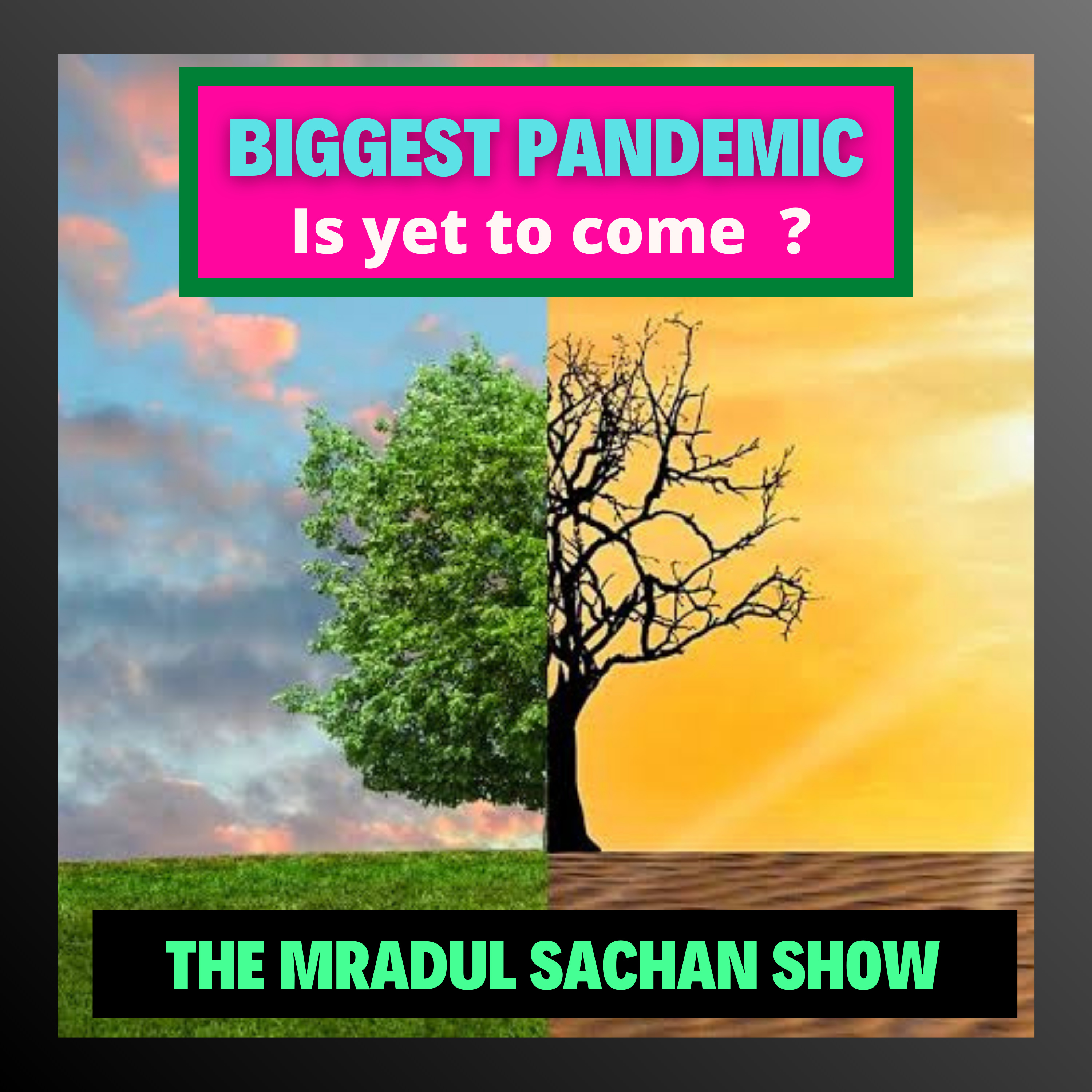 THE MRADUL SACHAN SHOW