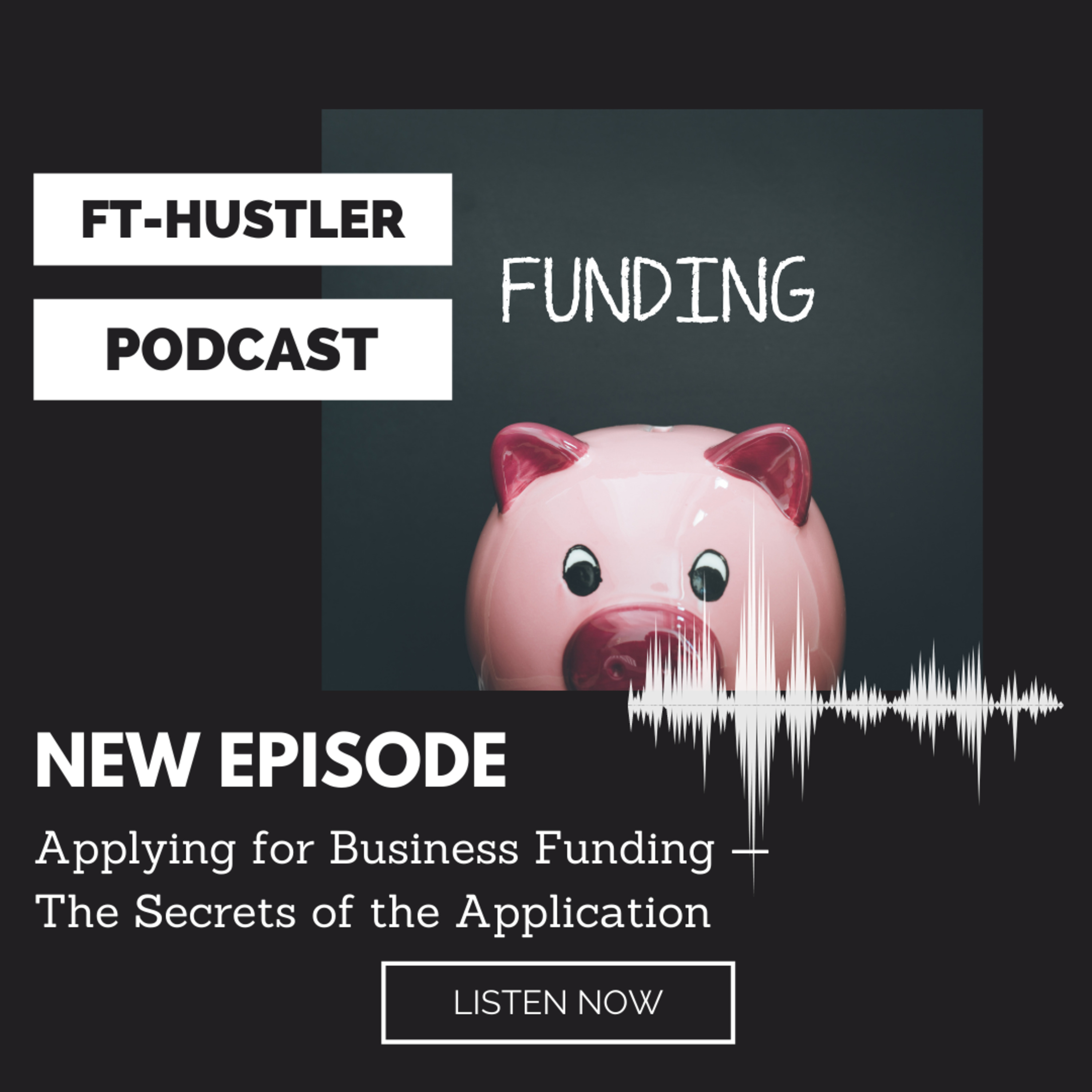 Applying for Business Funding — The Secrets of the Application episode artwork