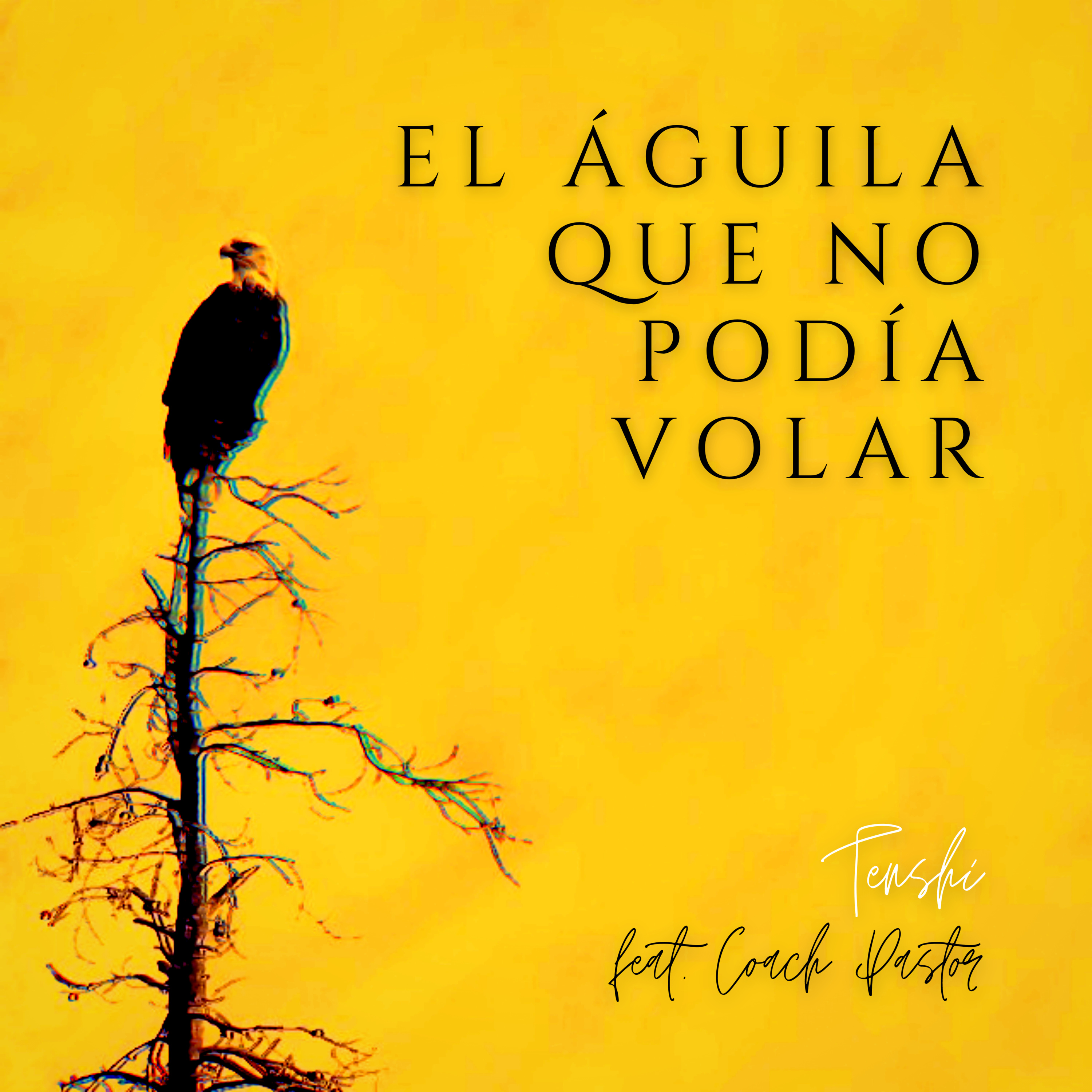 Los nocturnos del Ángel. By Jesús Flores Arce