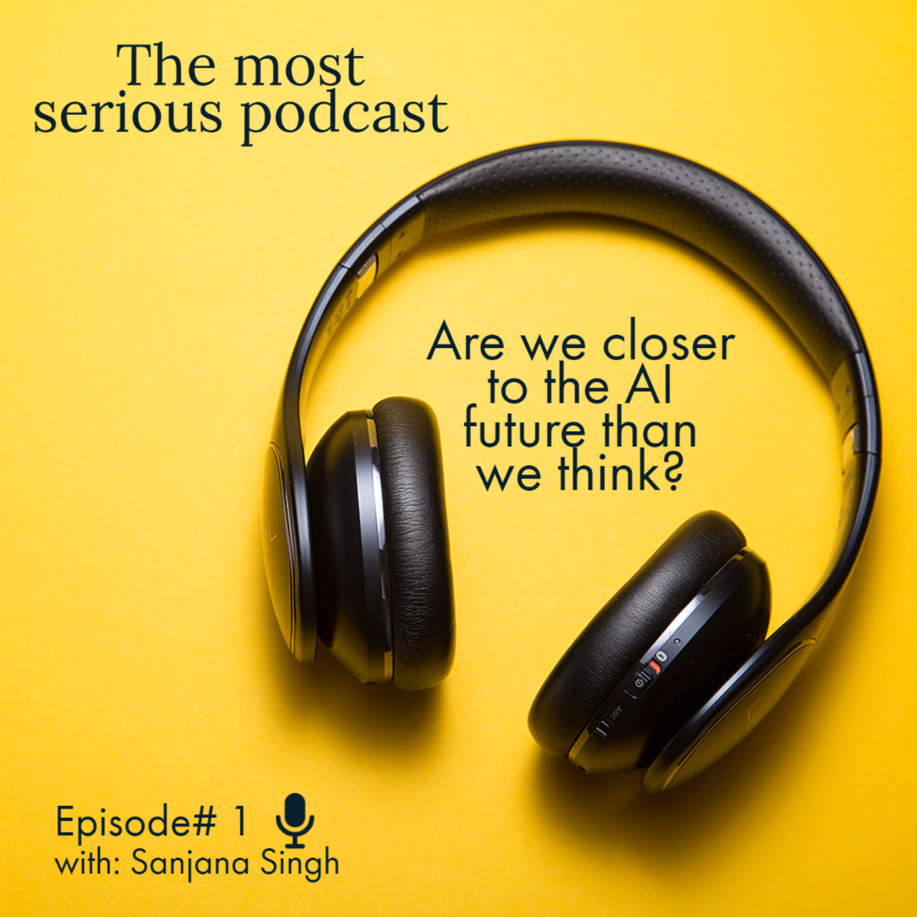 The Most Serious Podcast