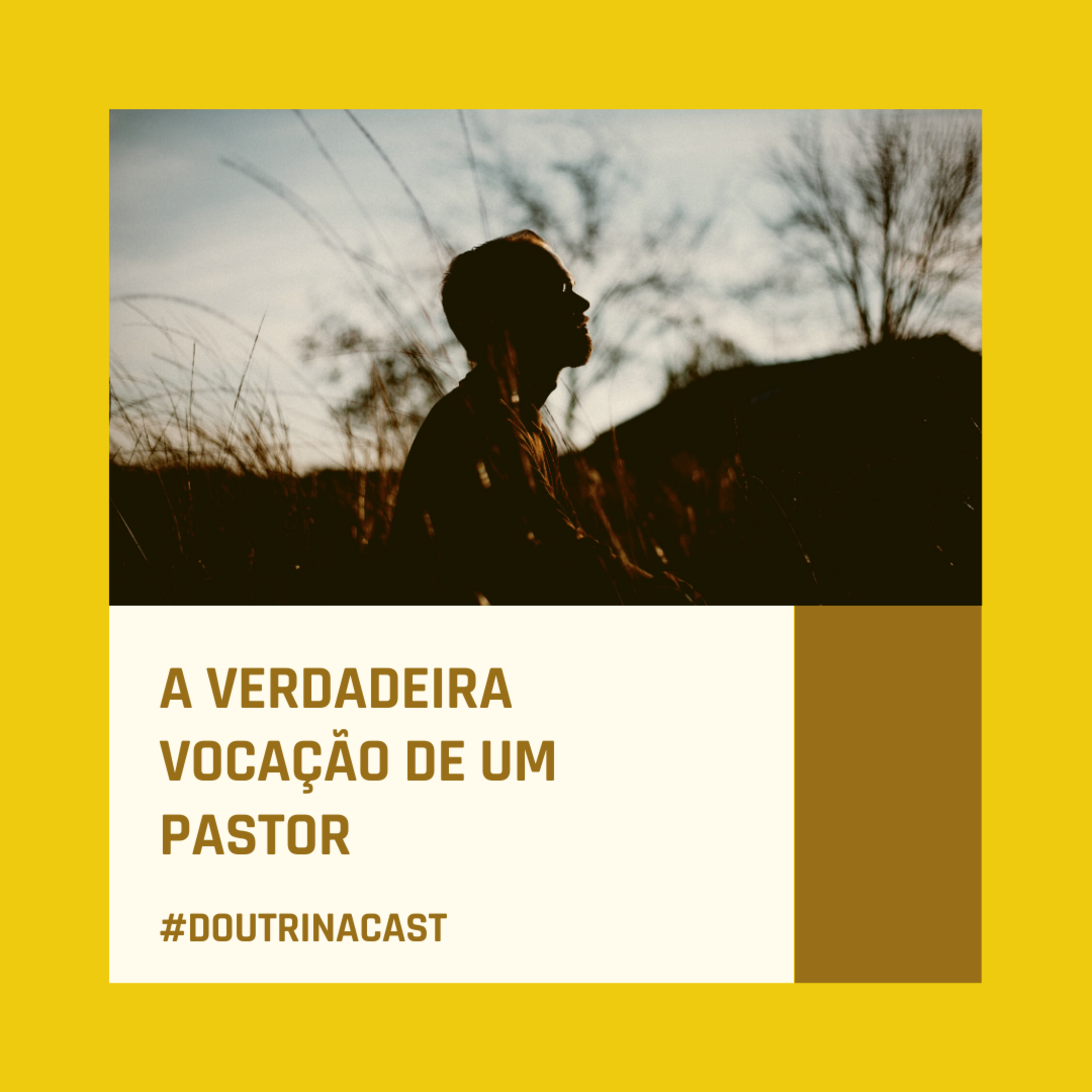 Qual é a missão de um pastor? #02  episode artwork