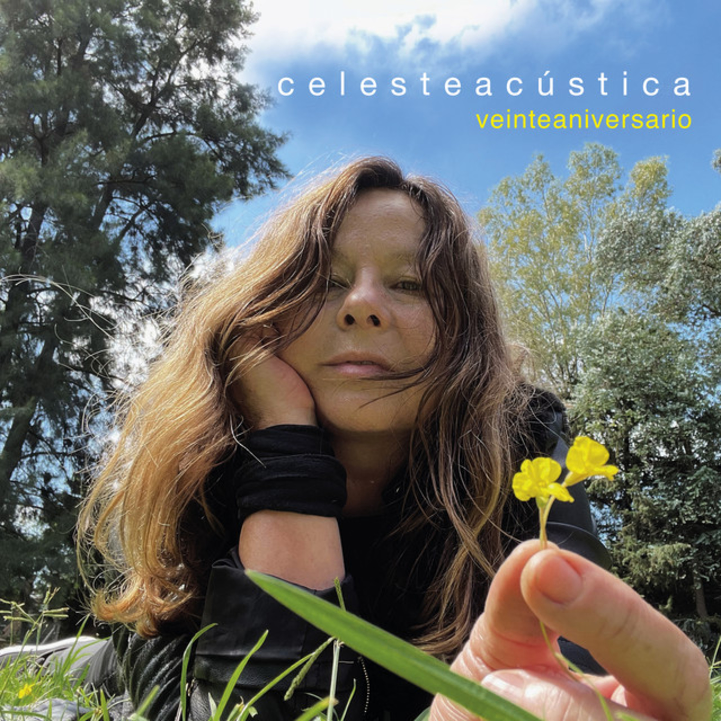 El Amplificador