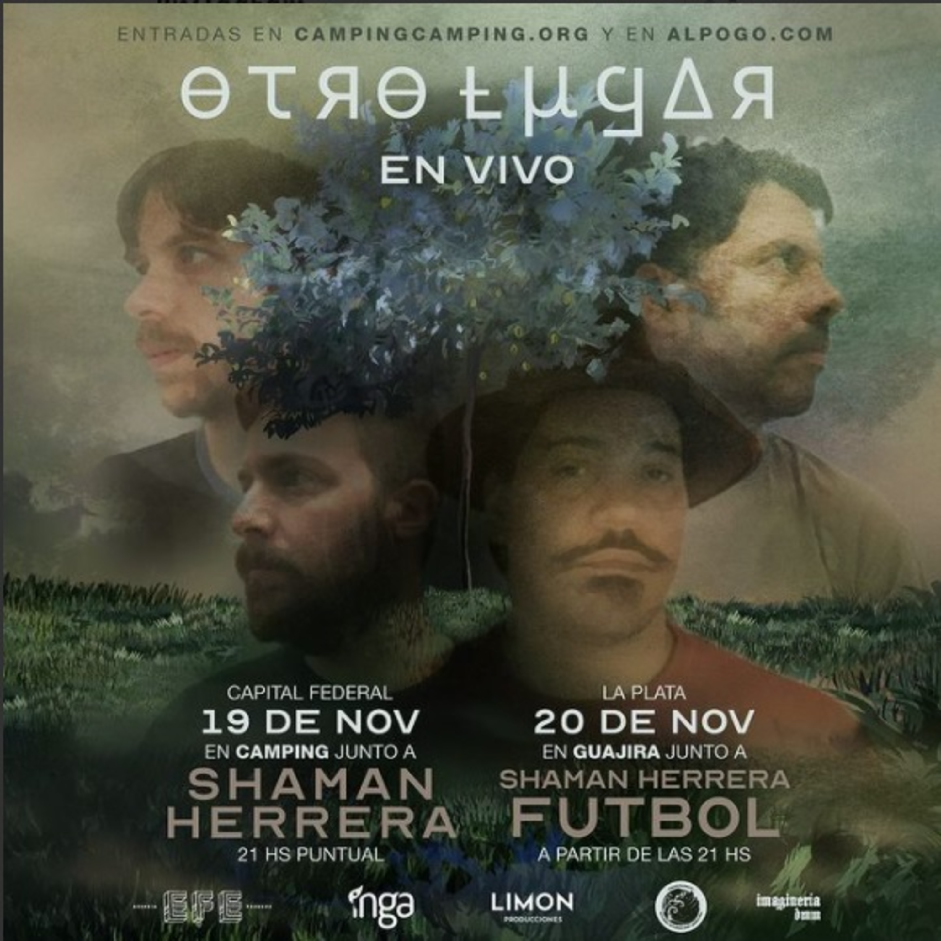 El Amplificador