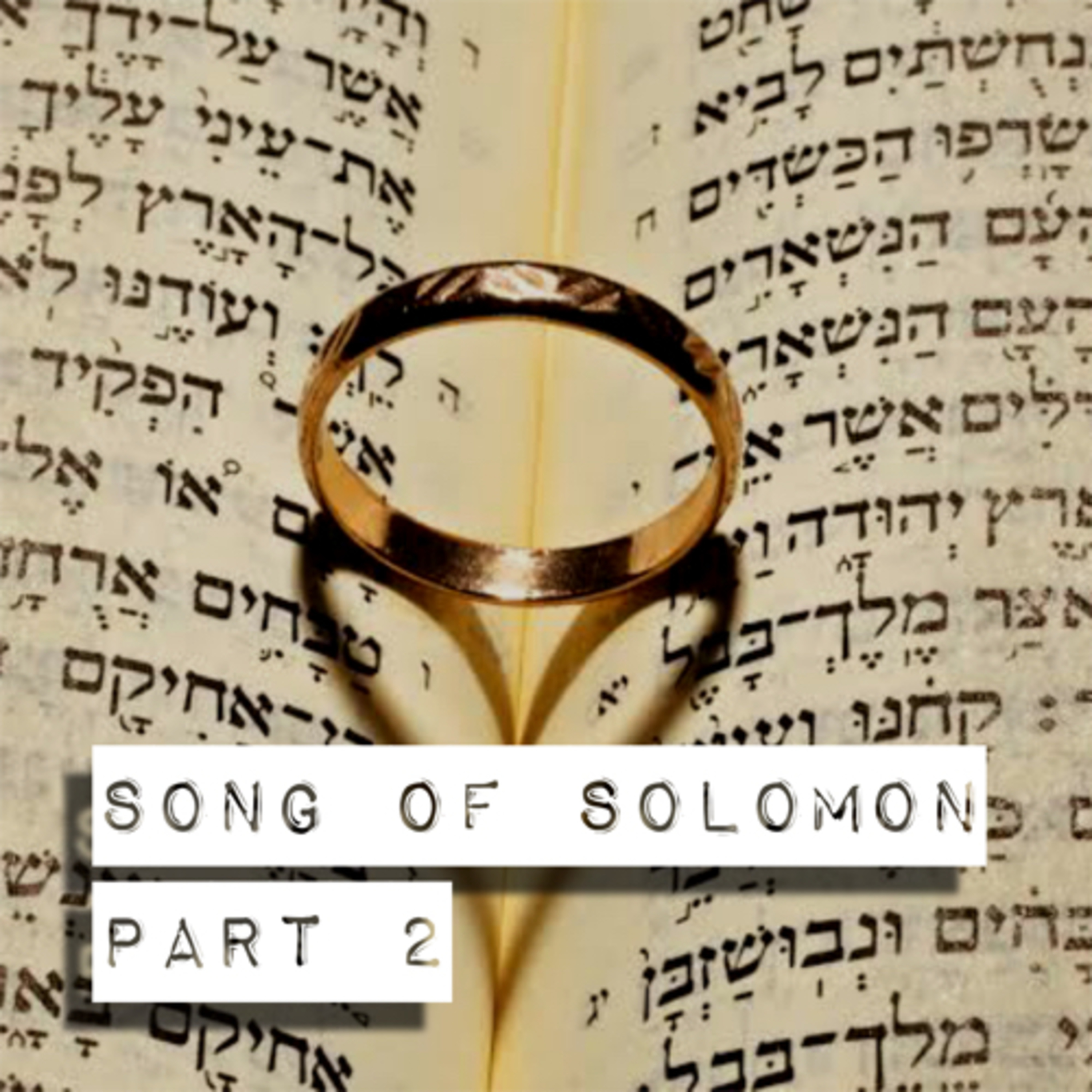 The First Battle - Song of Solomon Part 2