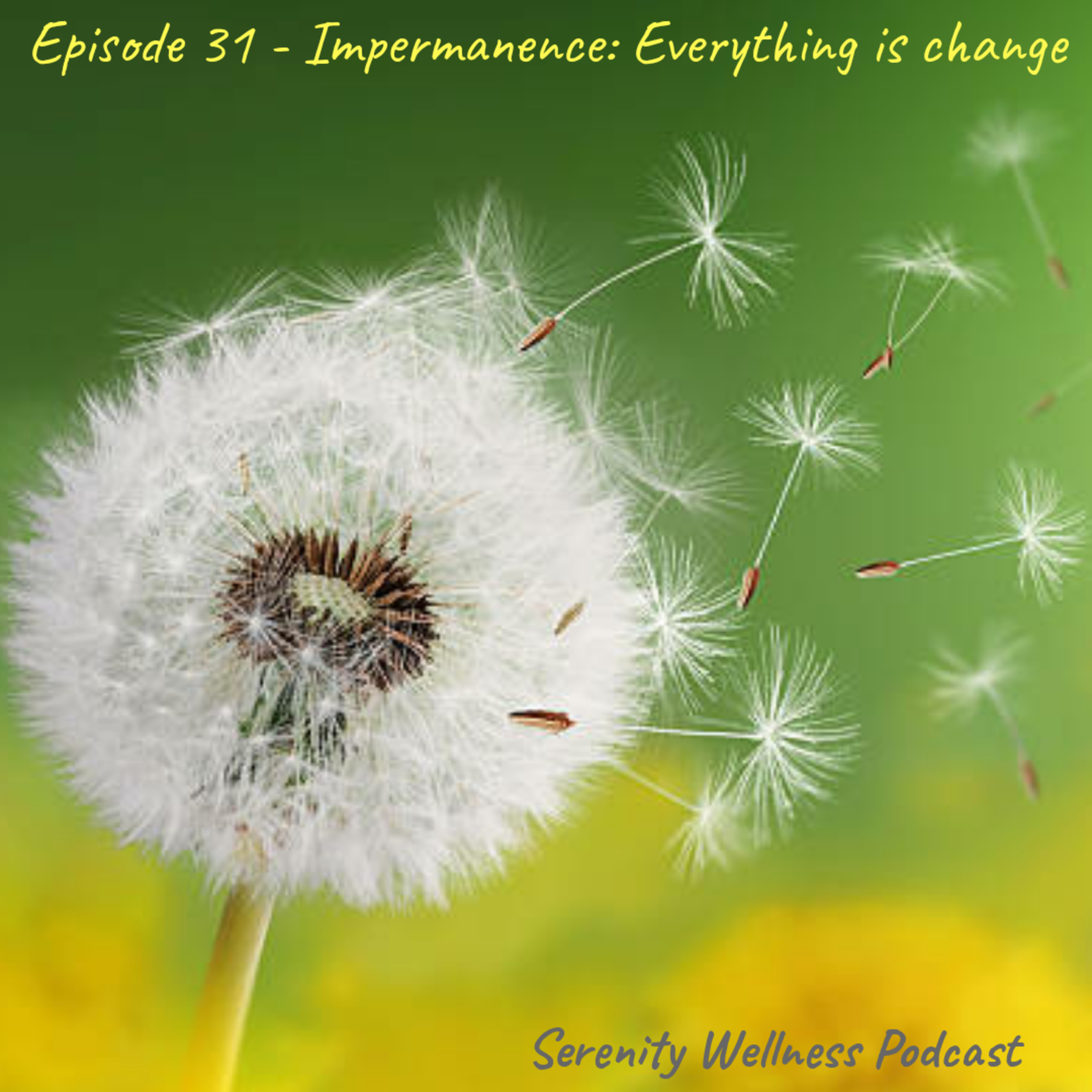 Episode - 31 - Impermanence: Everything is Change