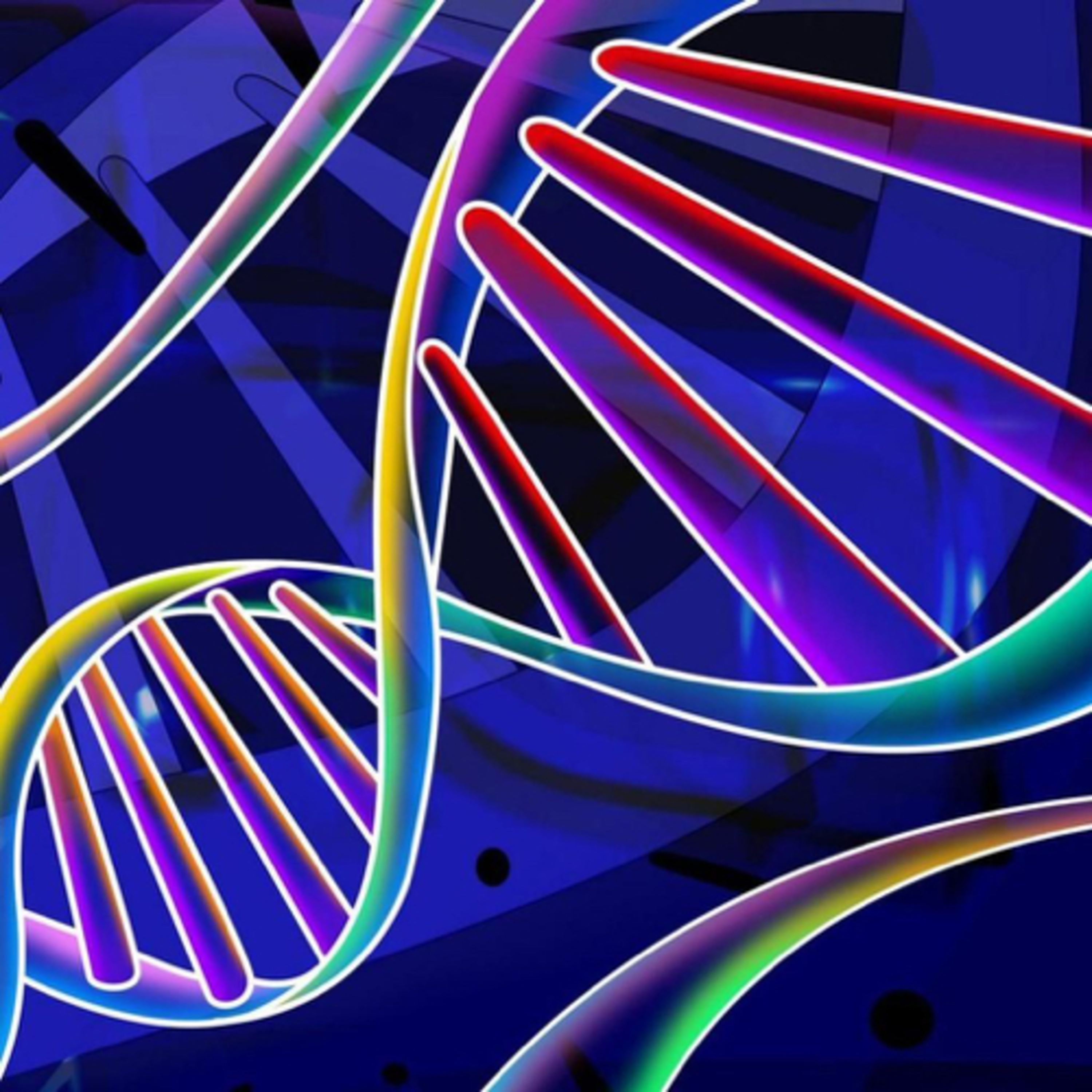 7.1 DNA Replication (HL)