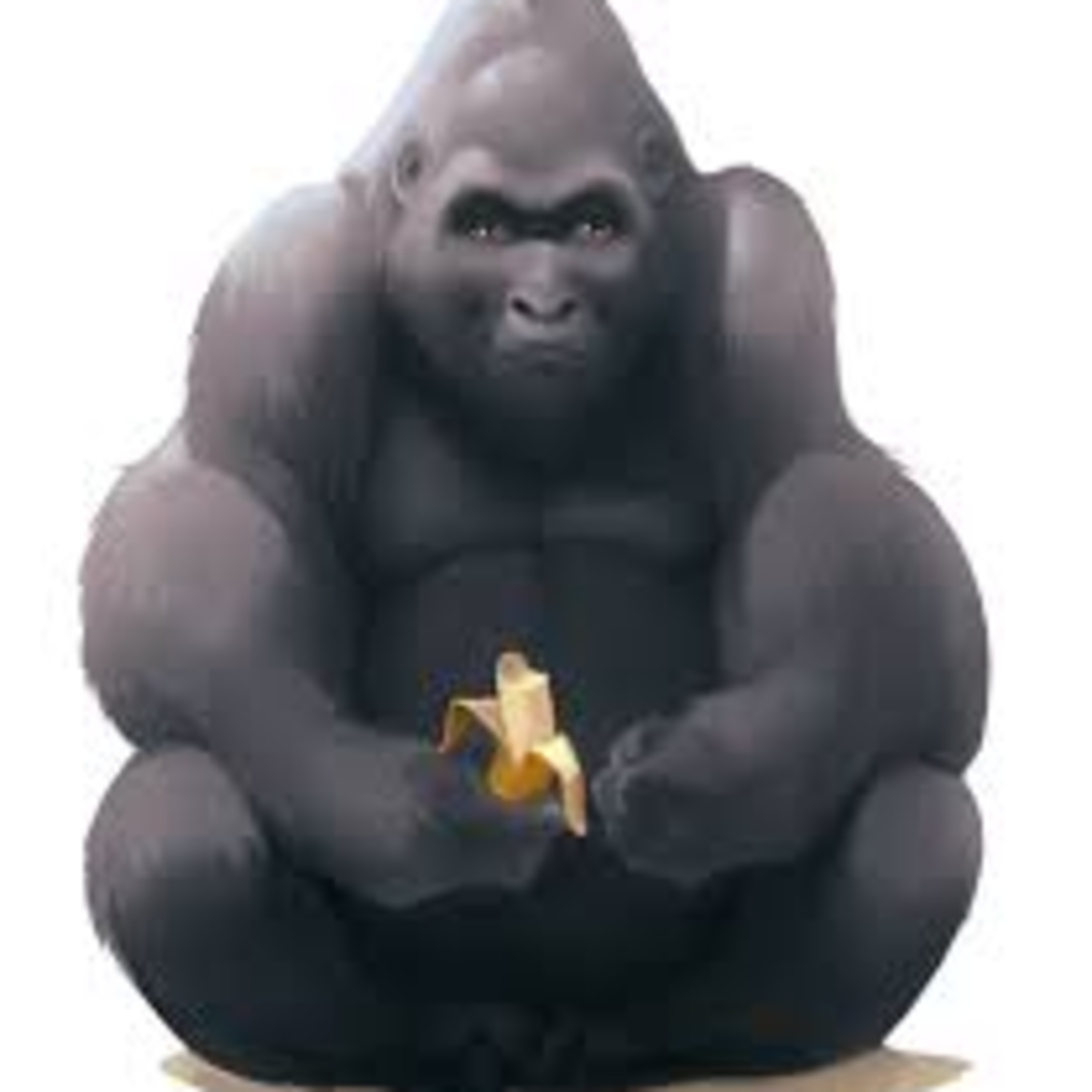 Roosevelt Elementary Podcasts