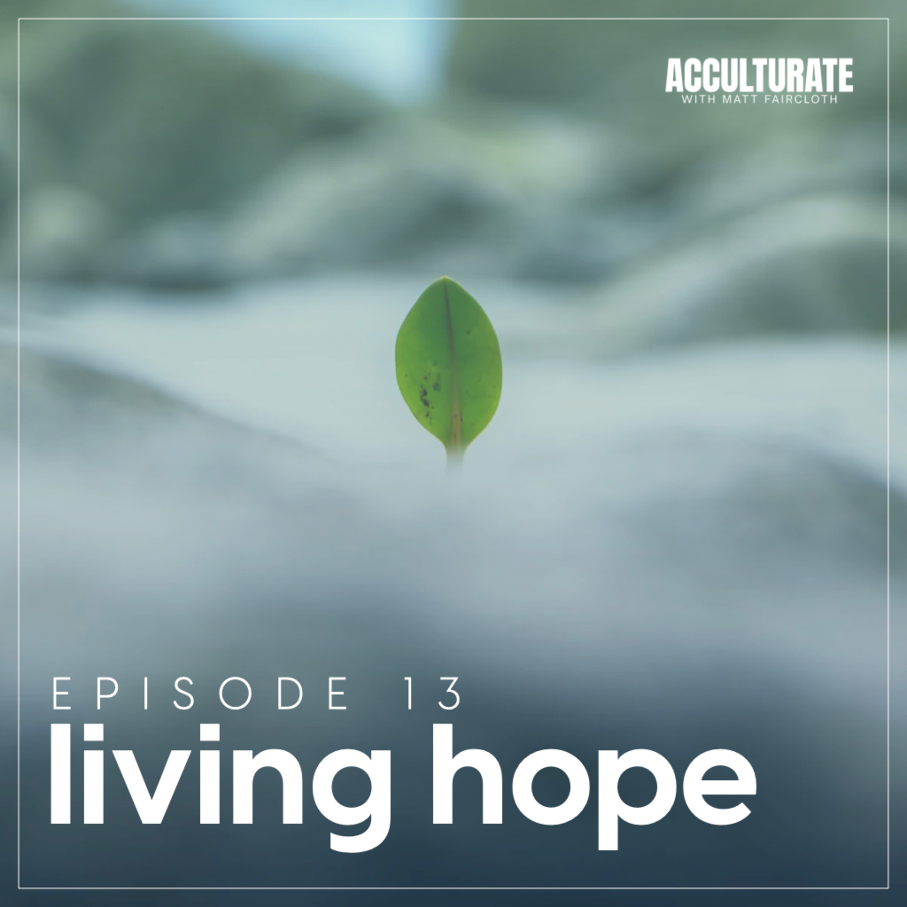 Acculturate with Matt Faircloth