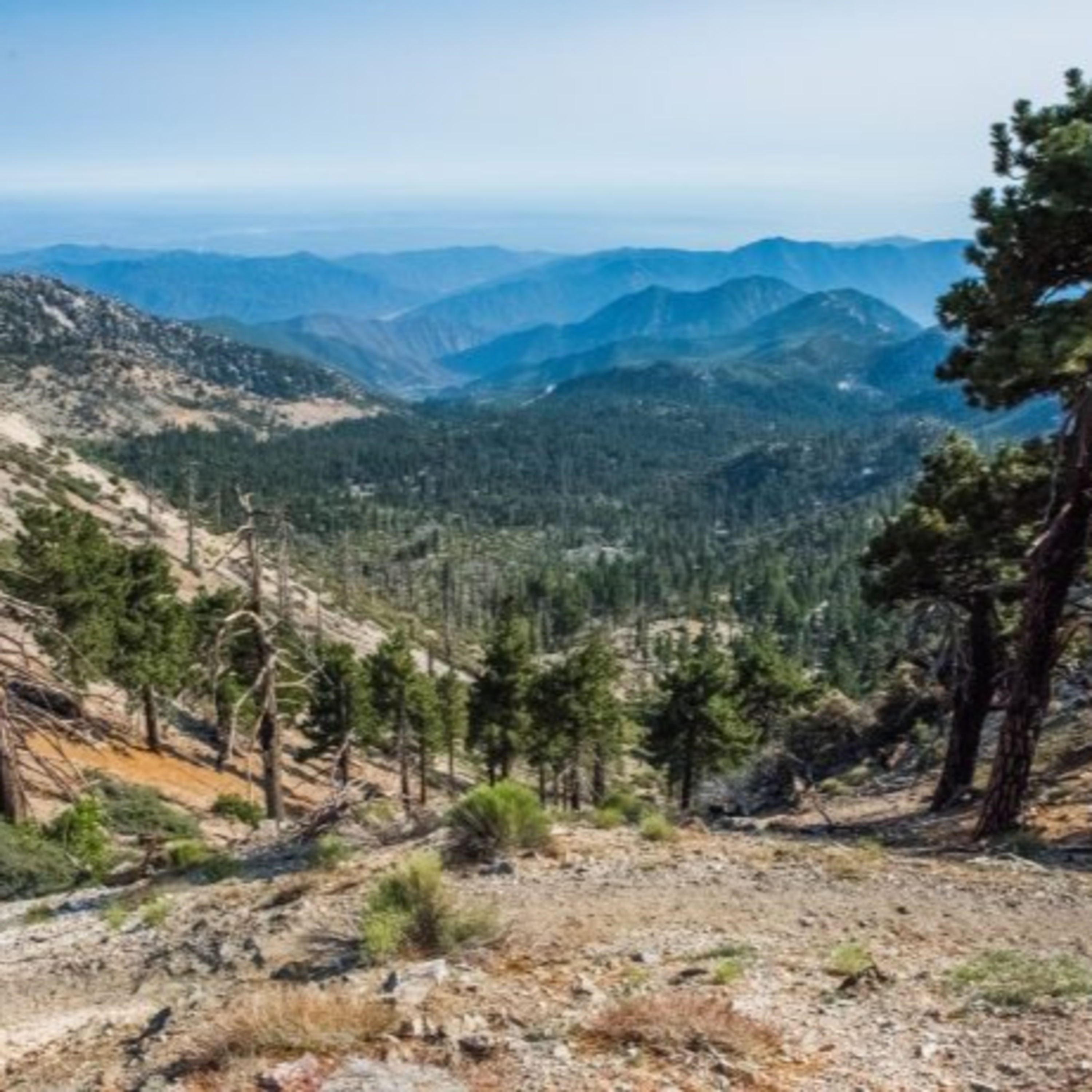 Ecosystems of LA: Mutual Aid and Communities of Care