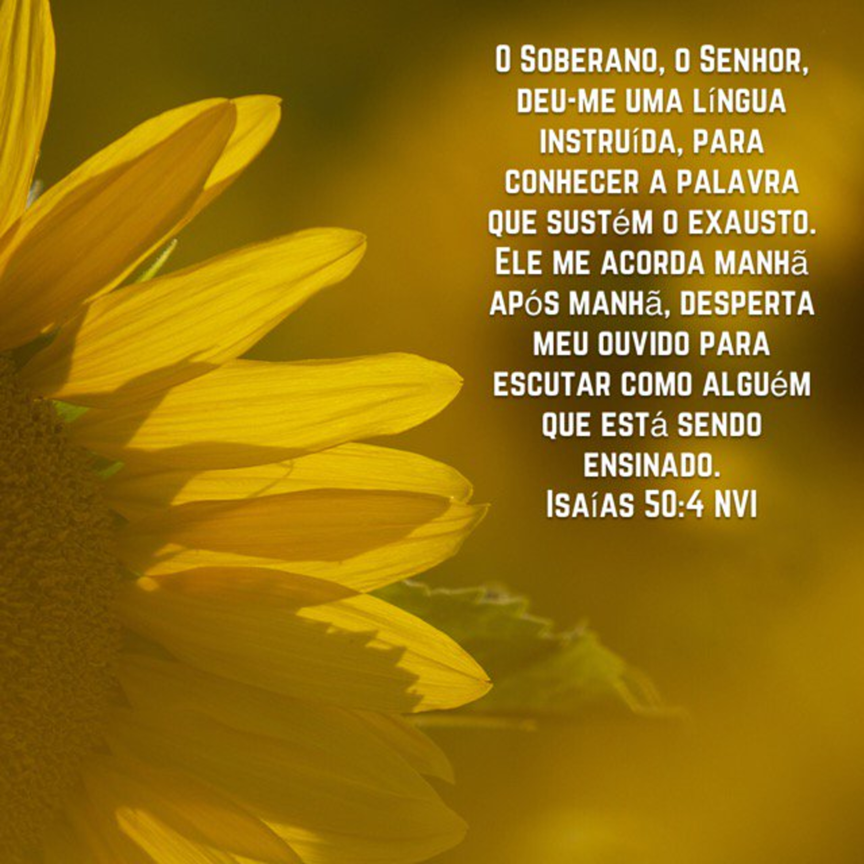 PÁSCOA EM FAMÍLIA