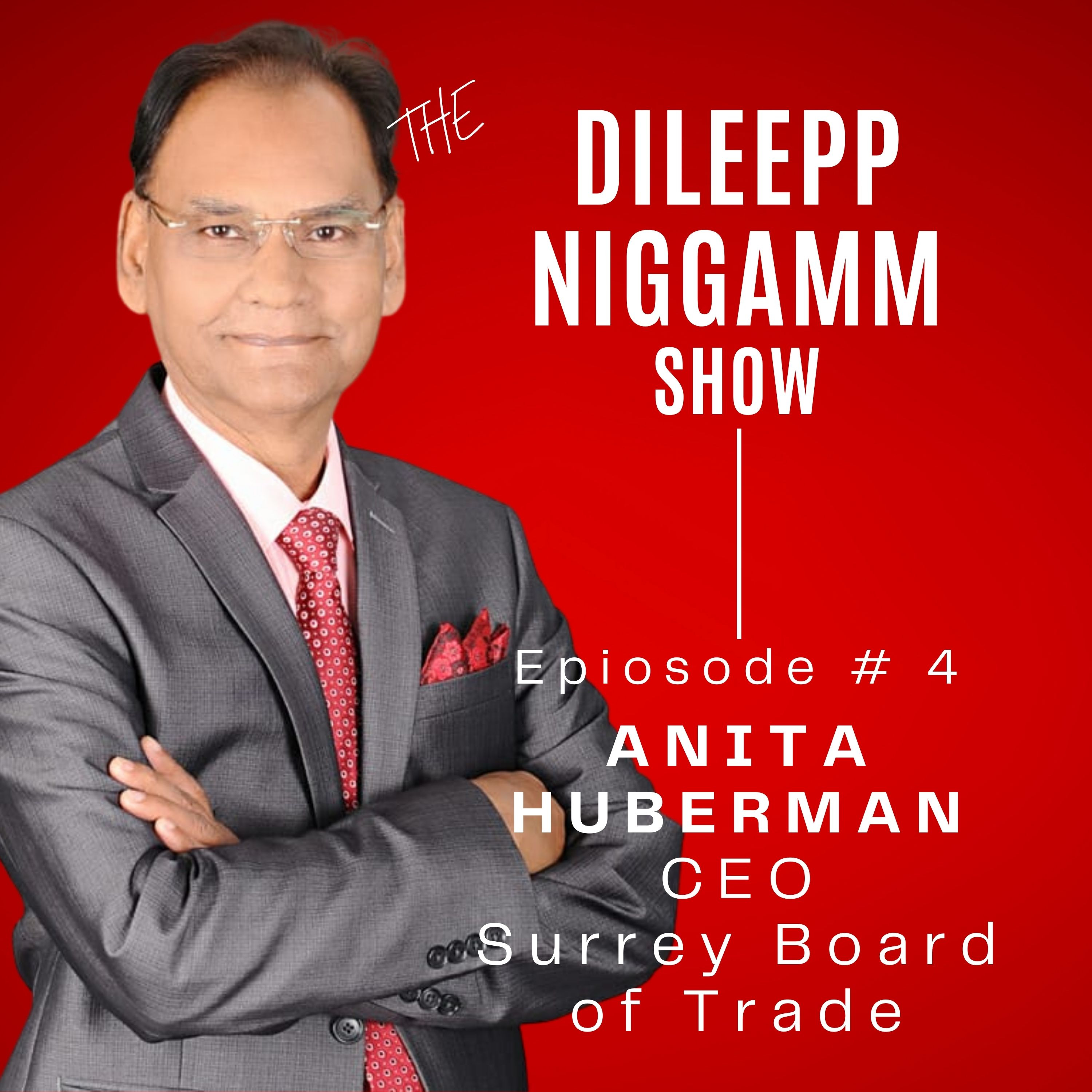 The Dileep Nigam Show