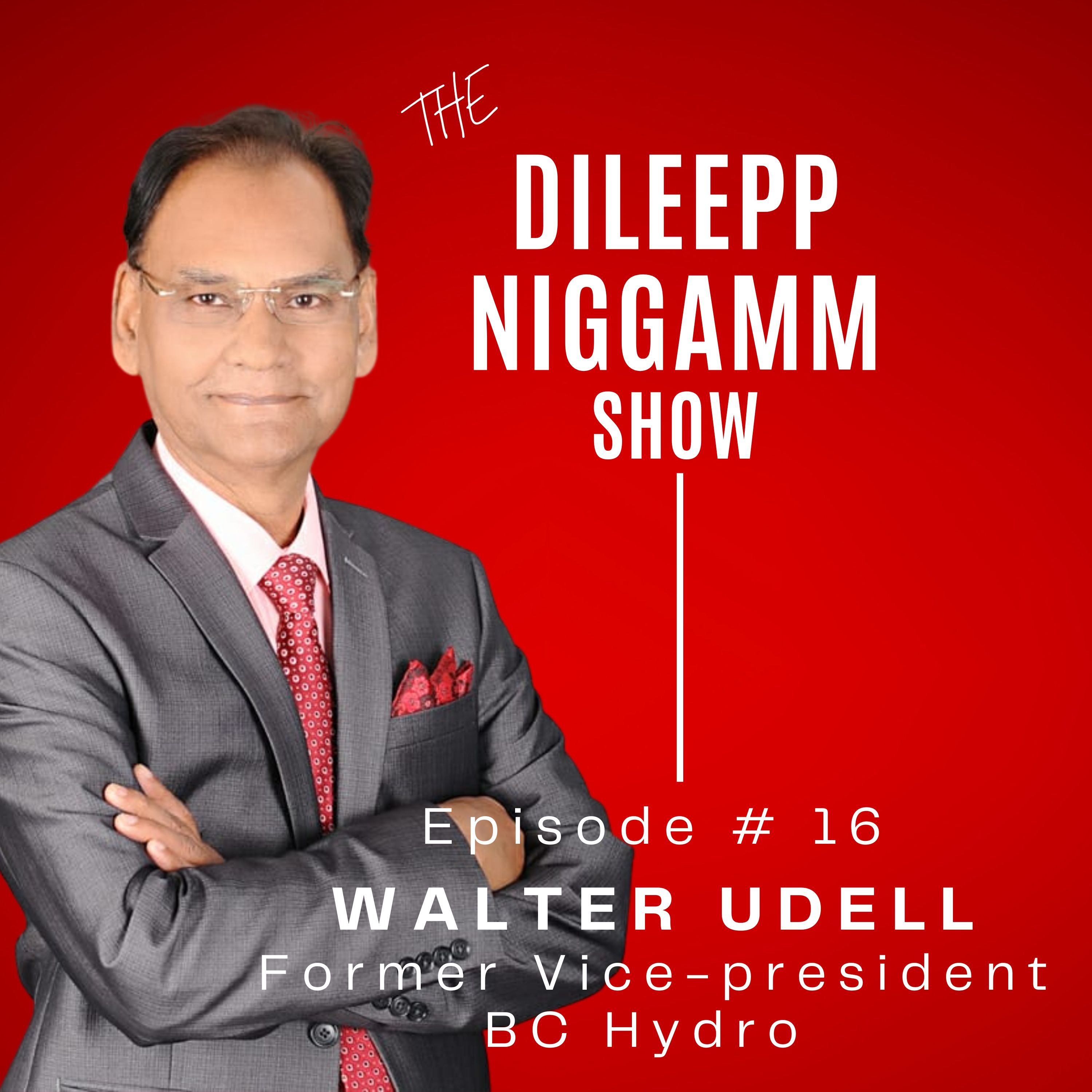 The Dileep Nigam Show