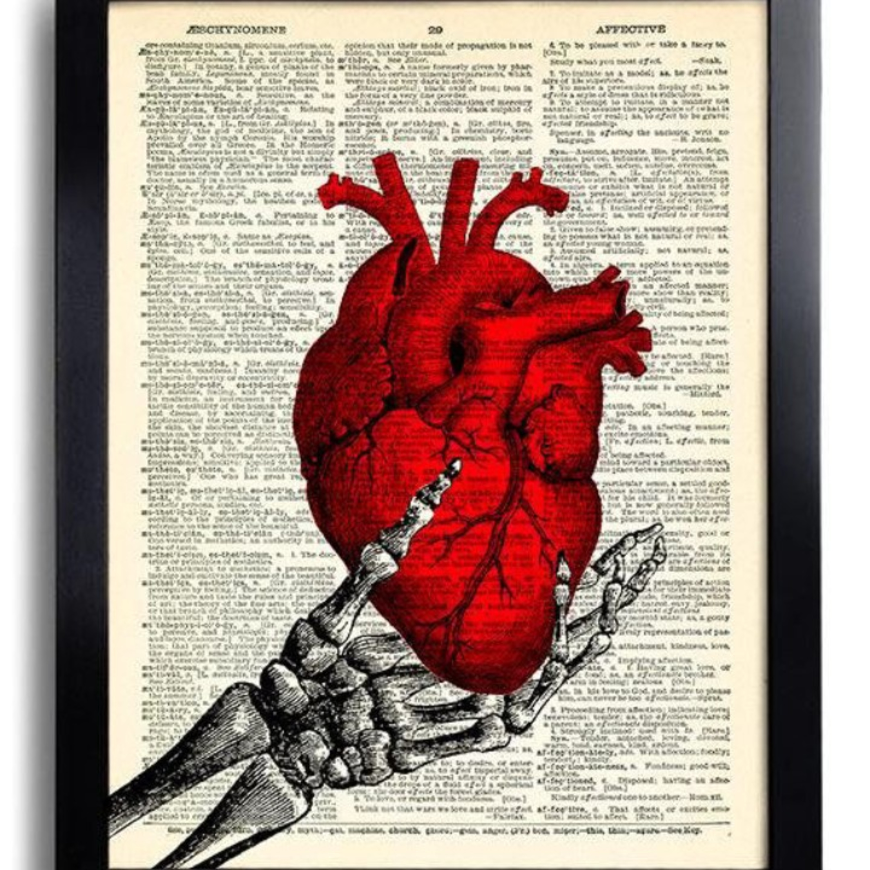 Anatomía del Corazón // UNITEC // Sistema Circulatorio y hematopoyético episode artwork