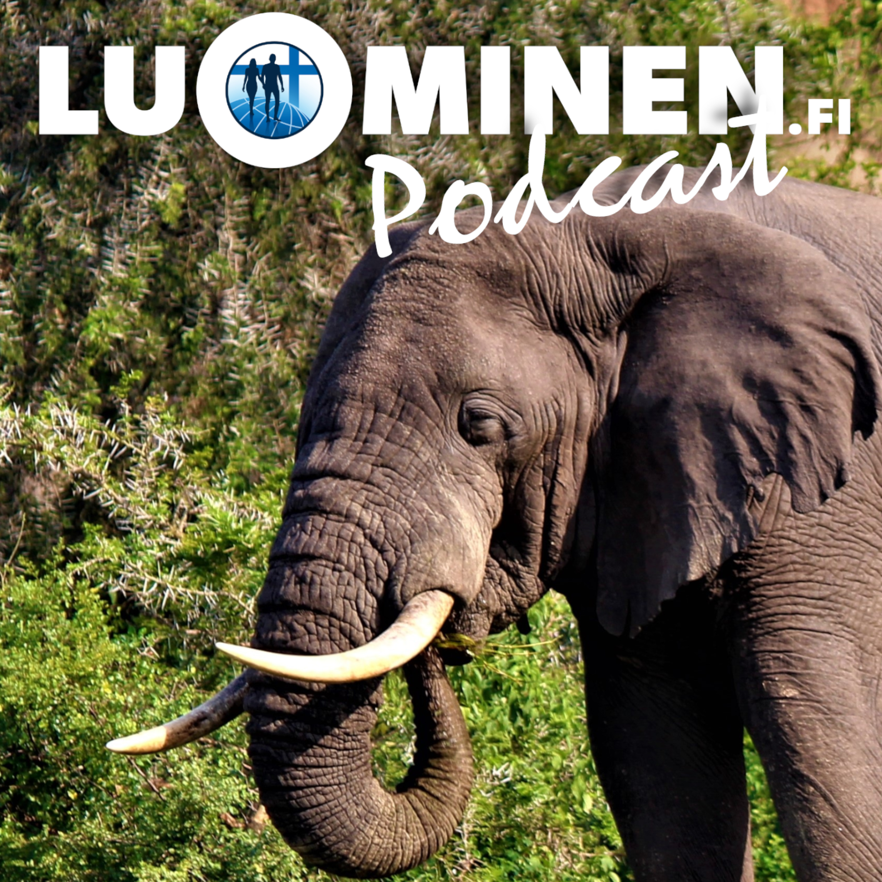 luominen.fi