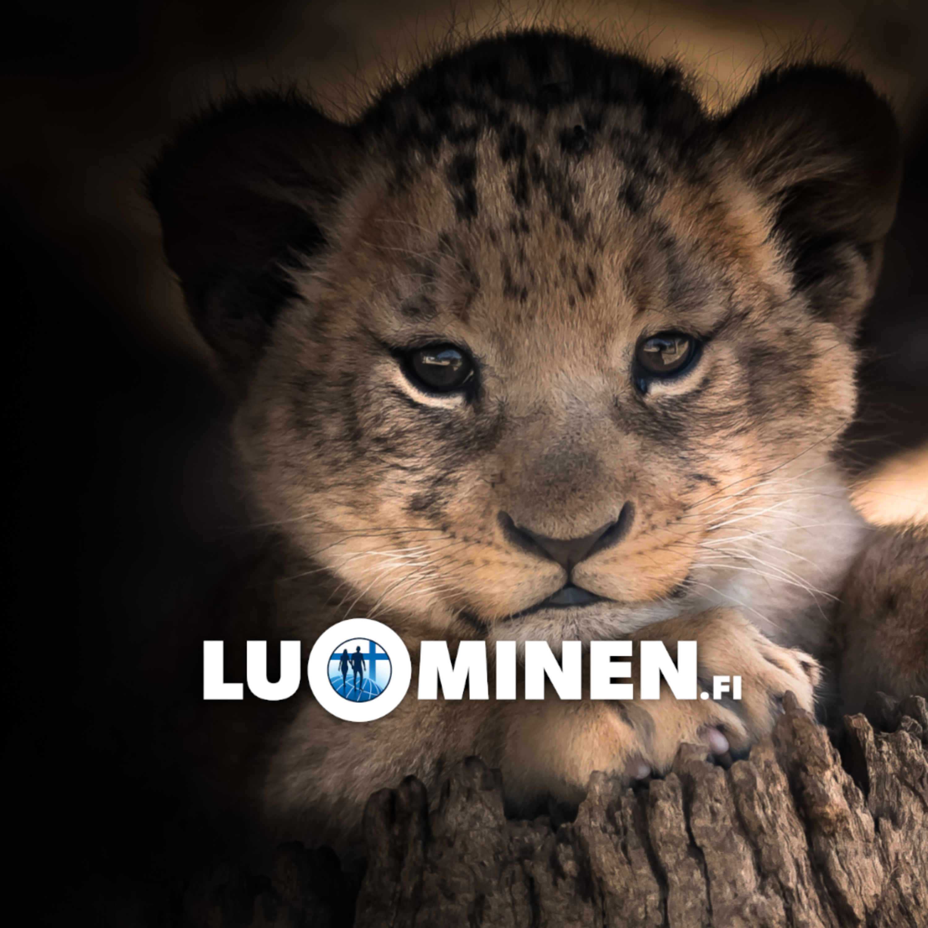 luominen.fi
