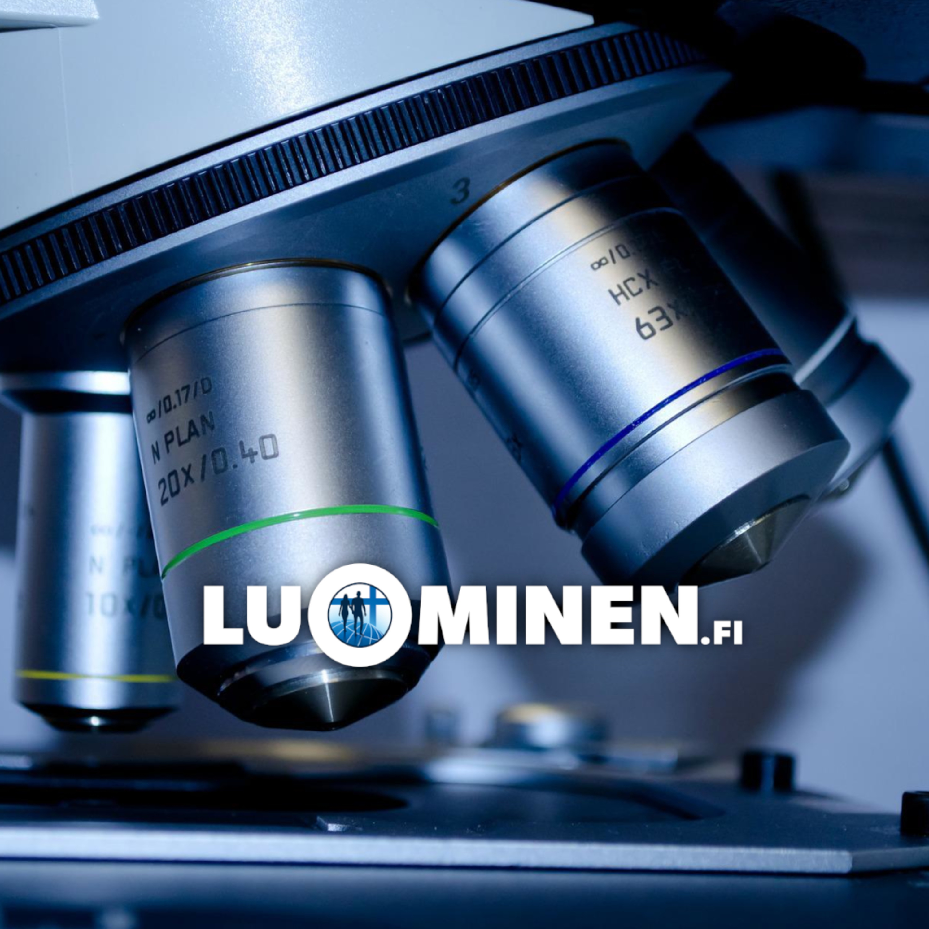 luominen.fi