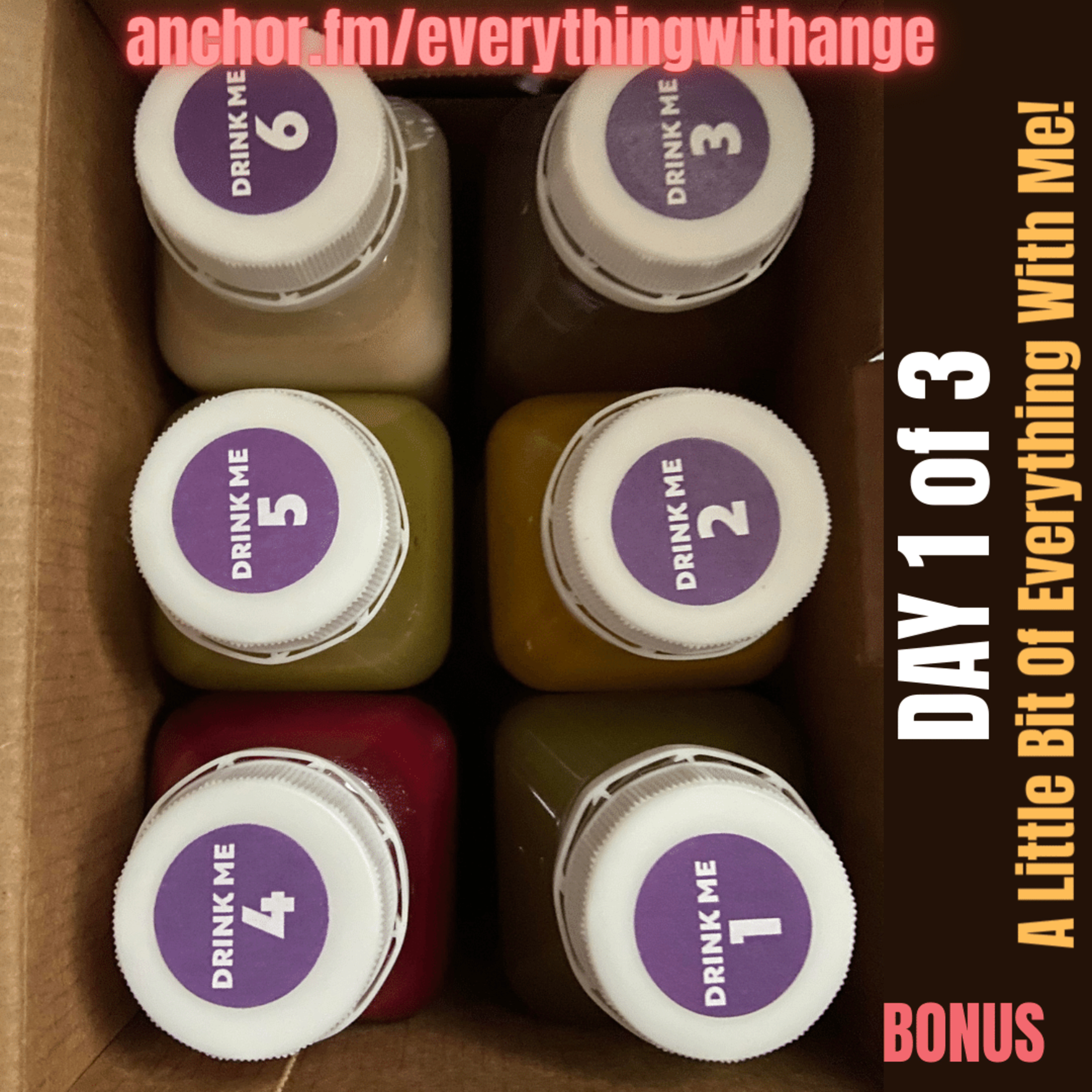 BONUS - BOOSTER JUICE CLEANSE - Day 1/3