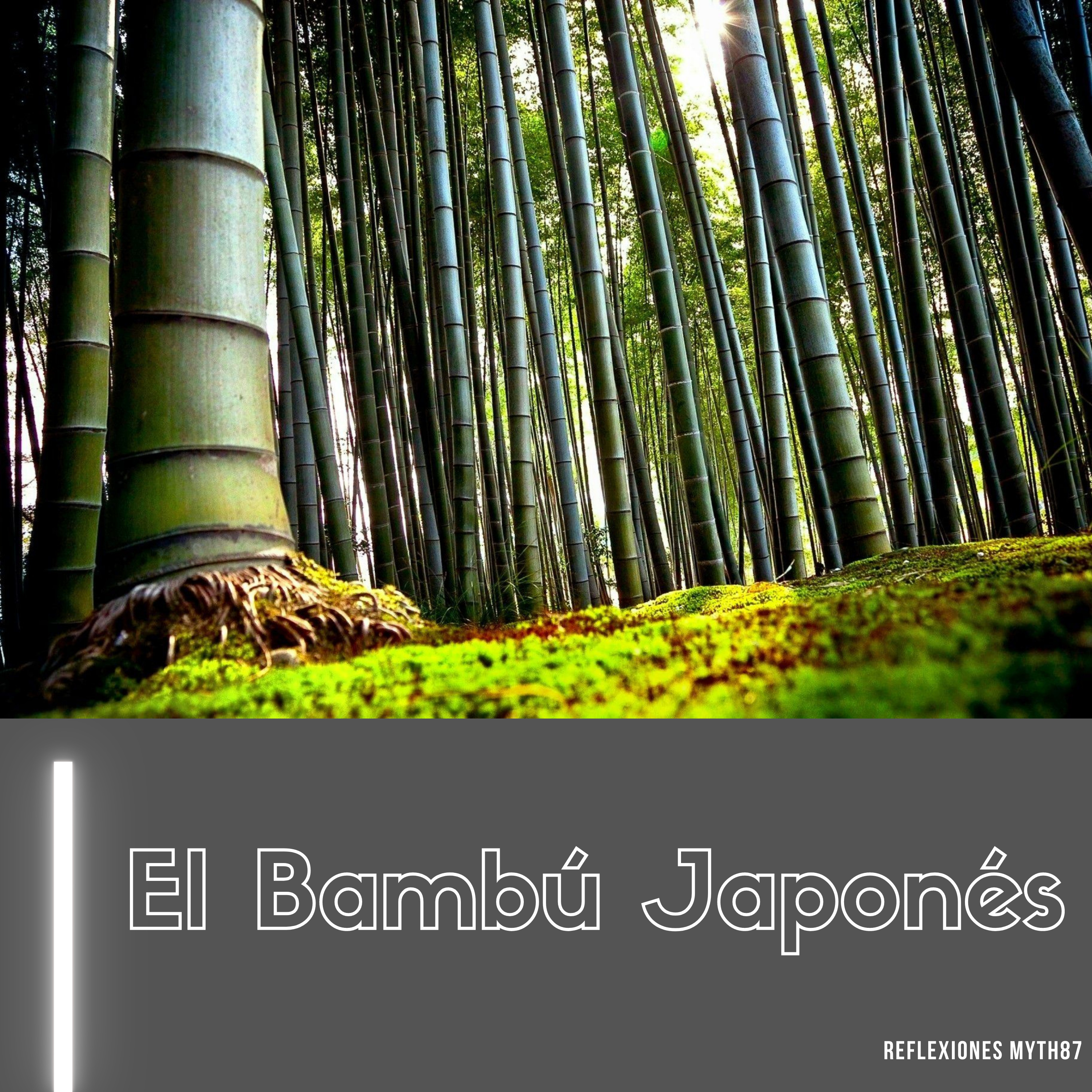 Reflexiones Myth87