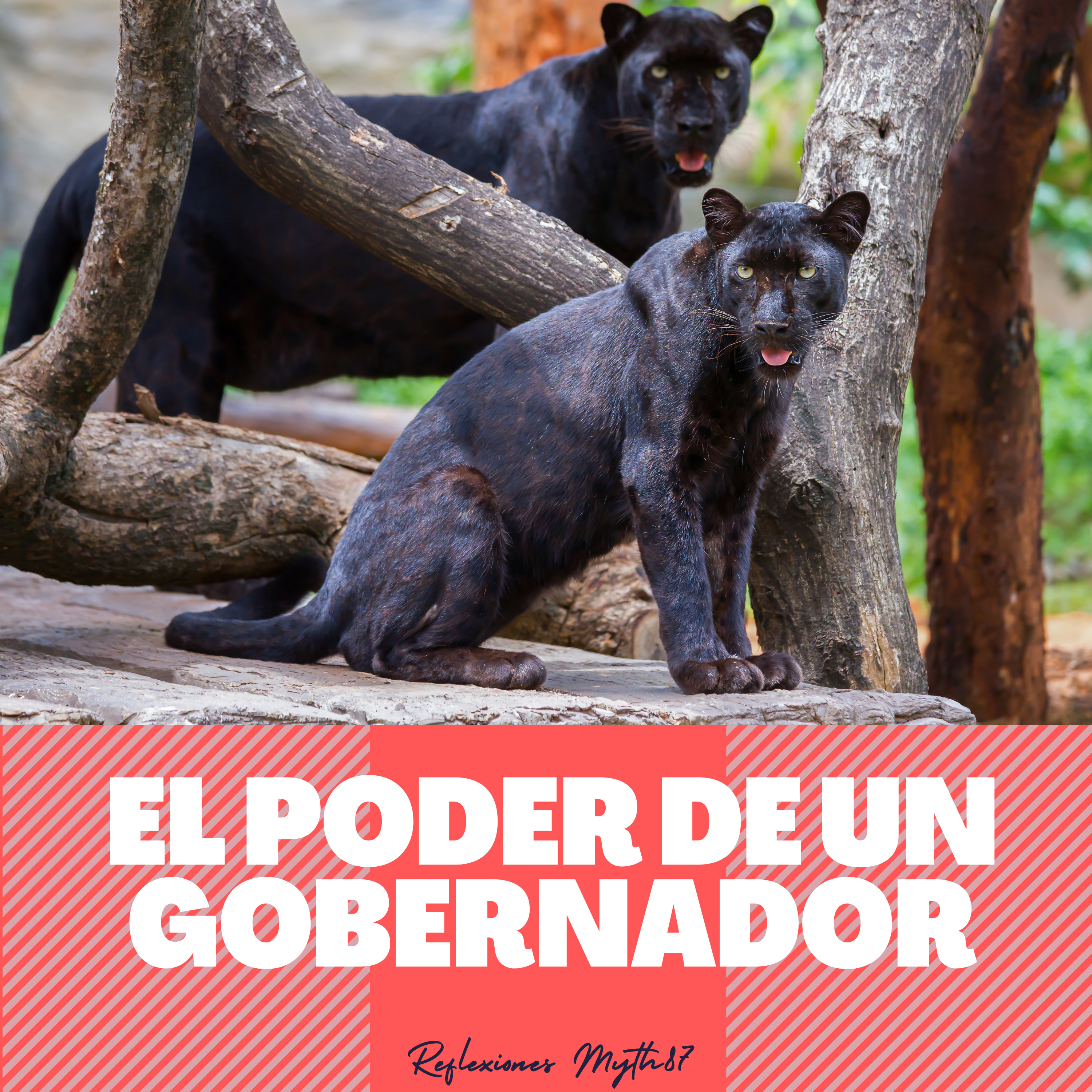Reflexiones Myth87
