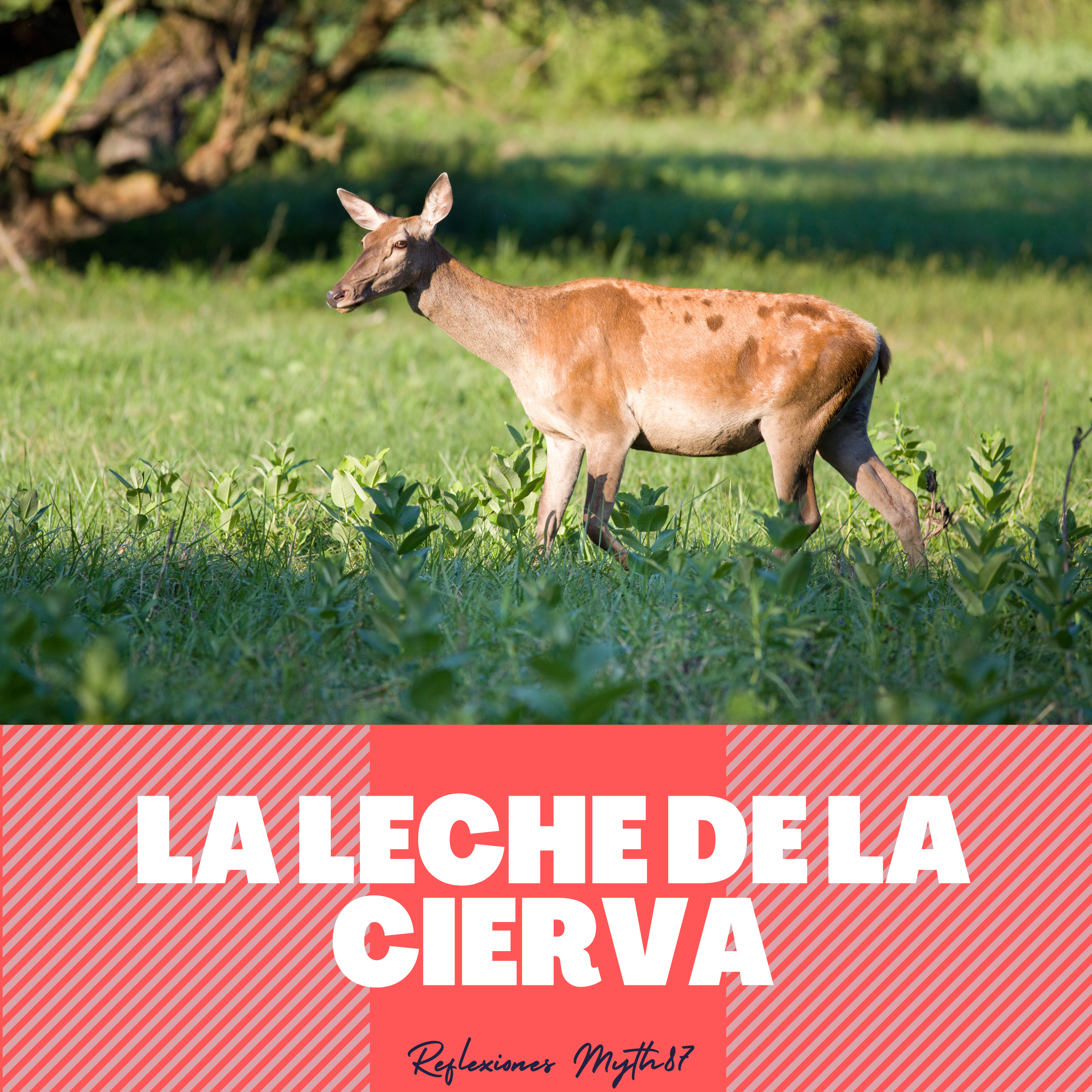 Reflexiones Myth87