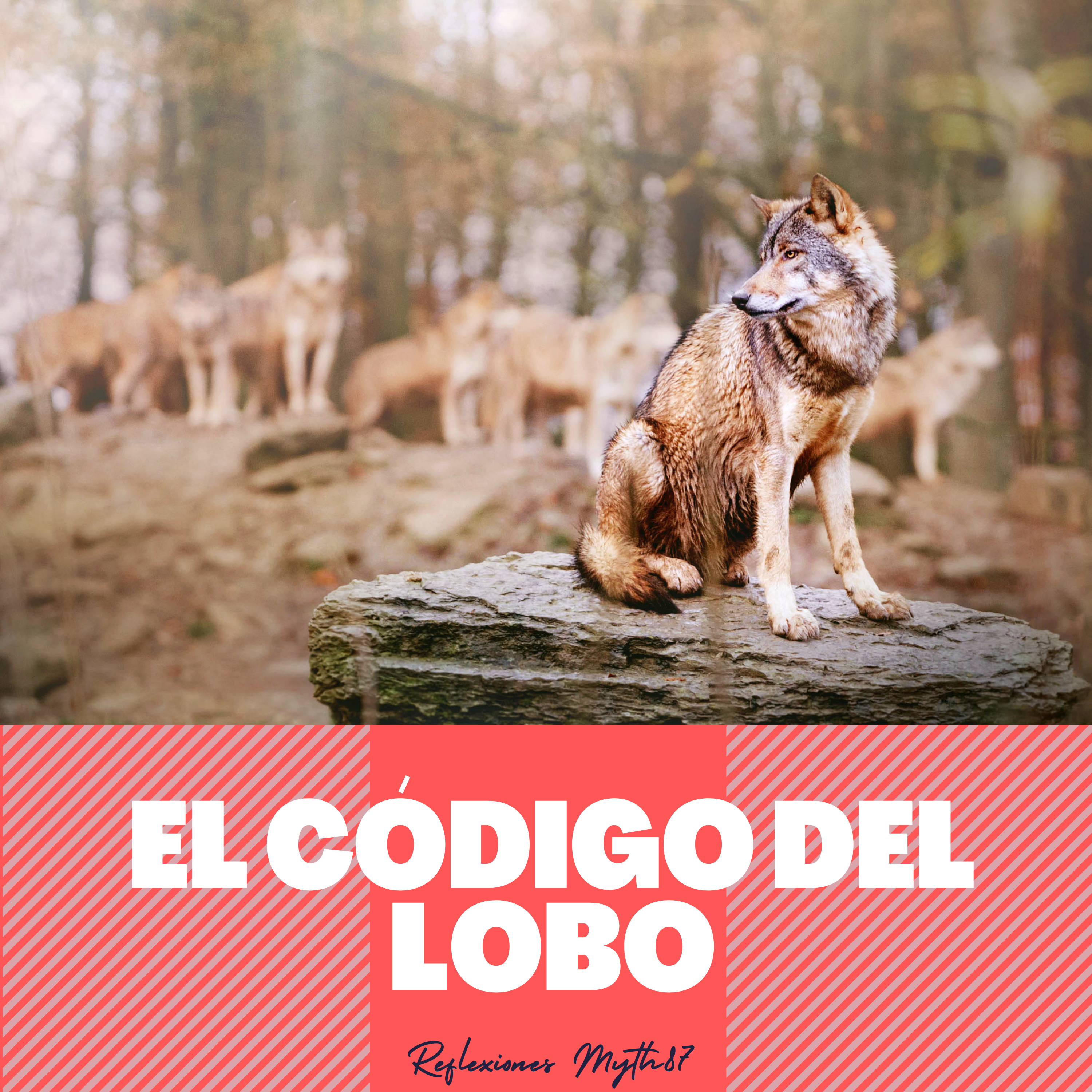 Reflexiones Myth87