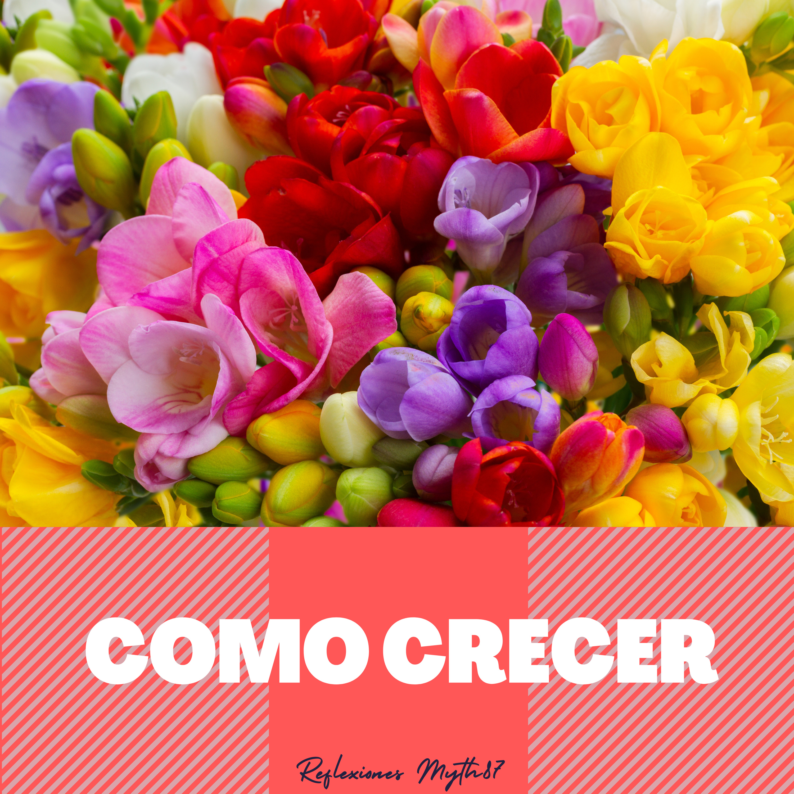 Reflexiones Myth87