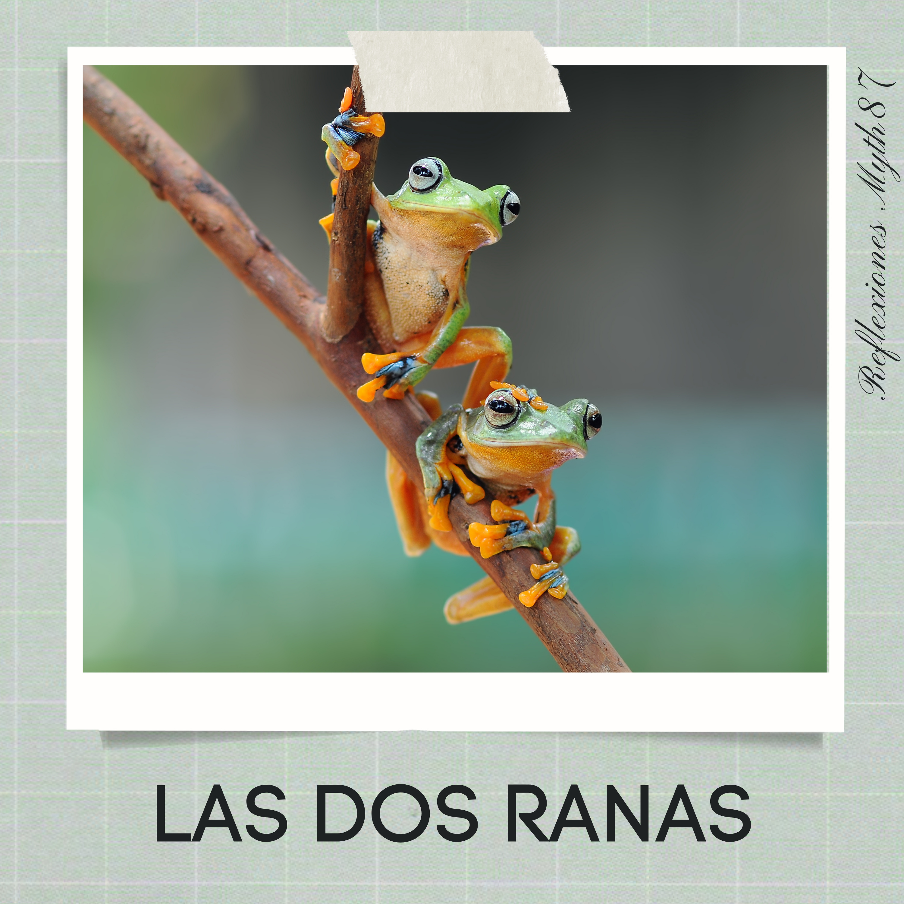 Reflexiones Myth87
