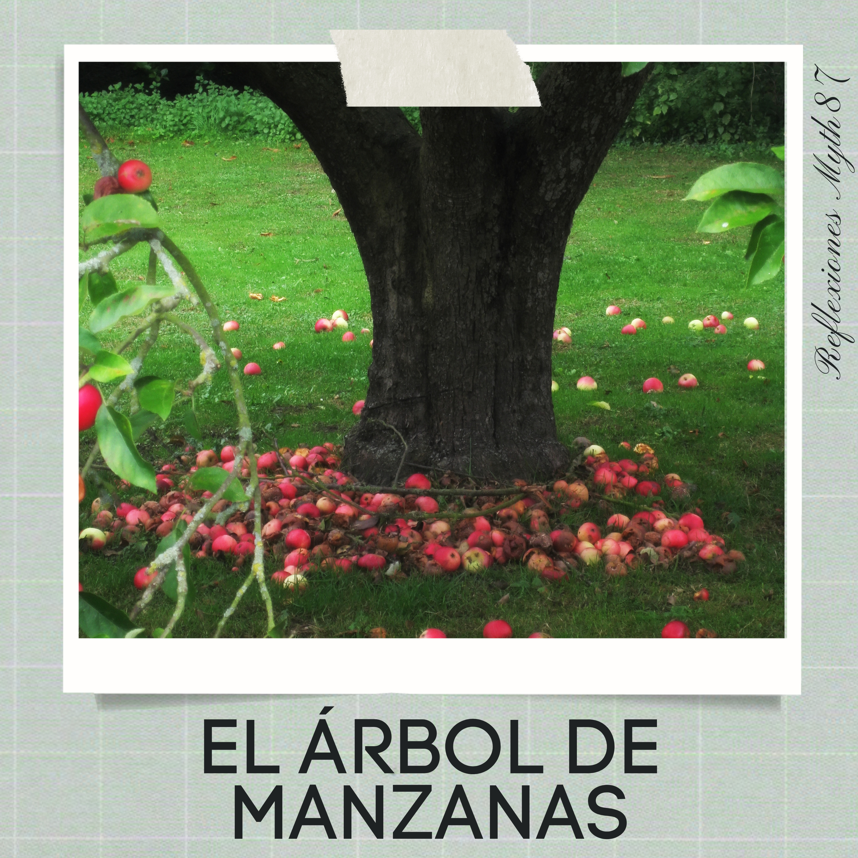 Reflexiones Myth87