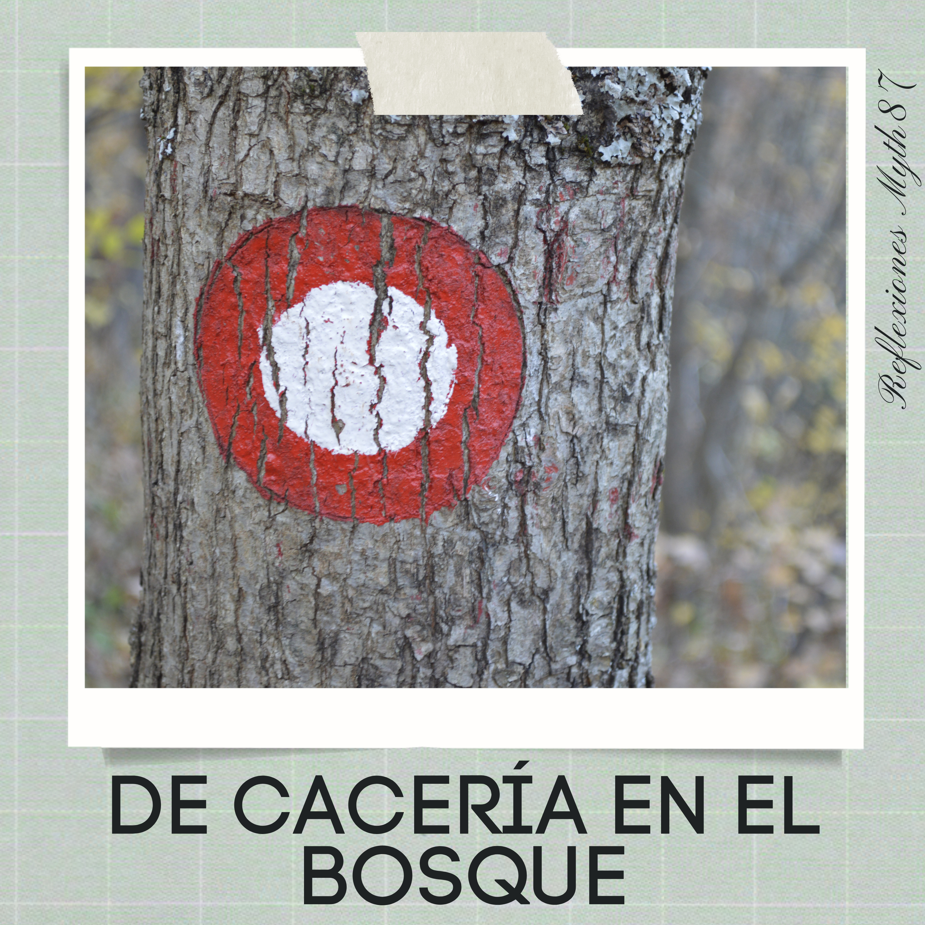 Reflexiones Myth87