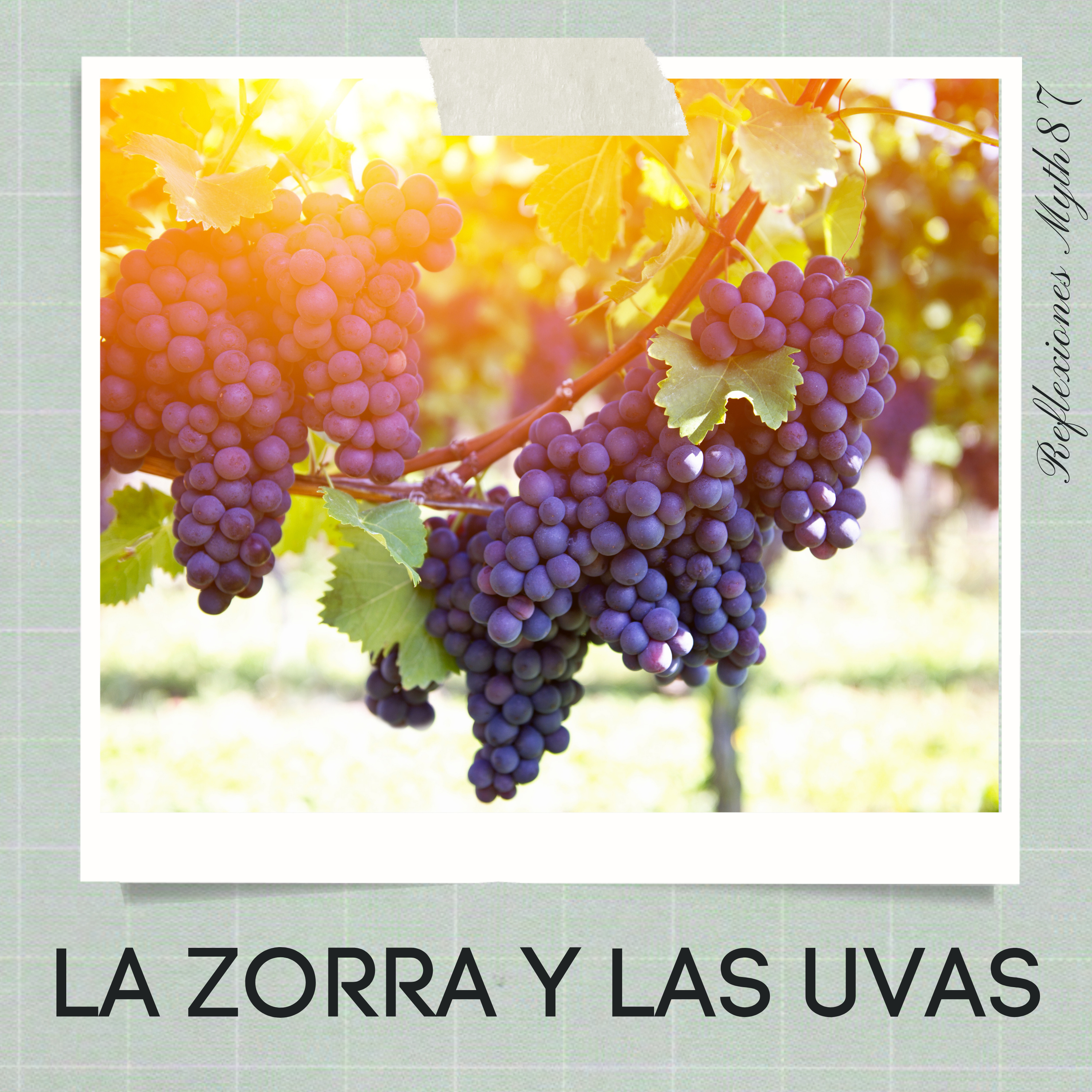 Reflexiones Myth87