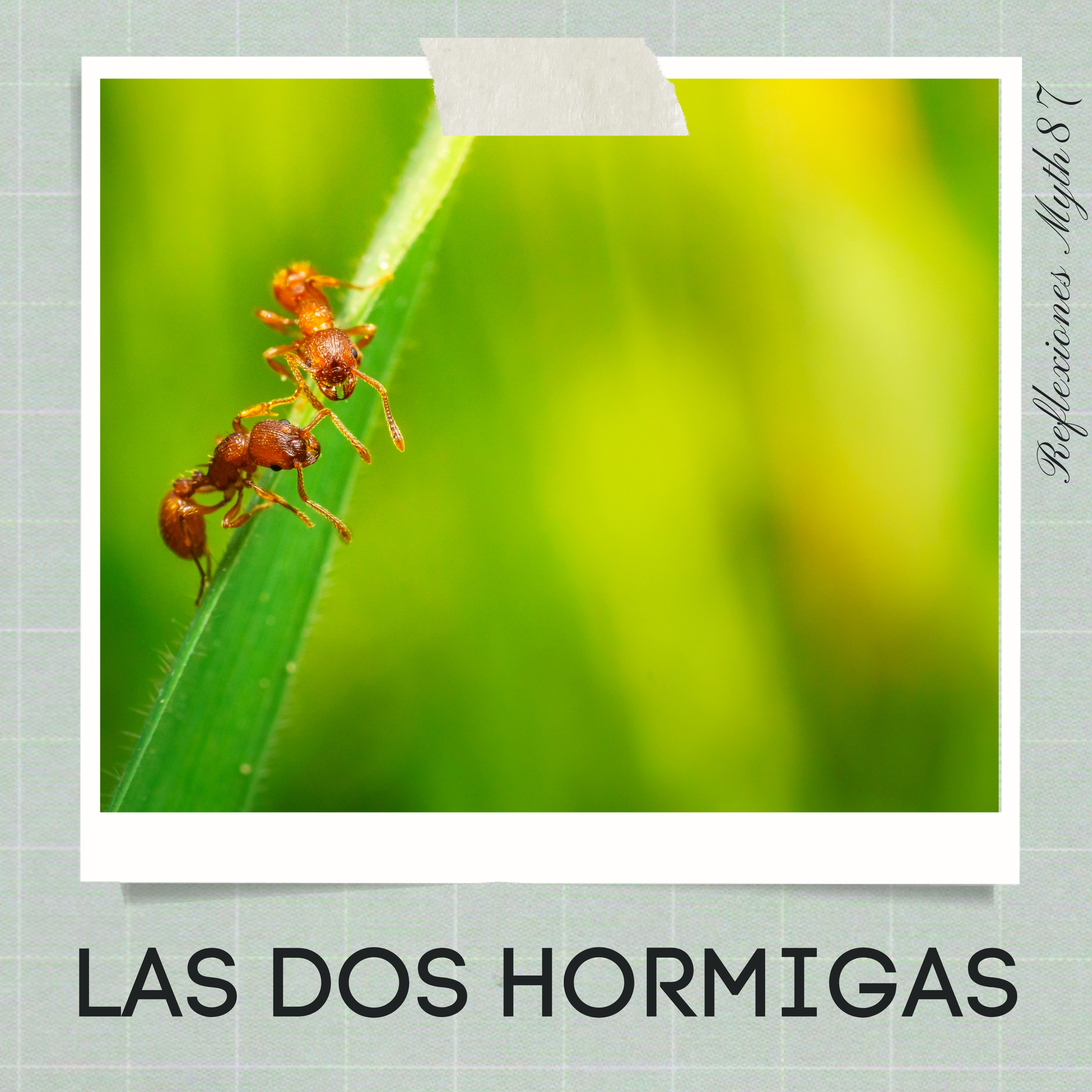 Reflexiones Myth87