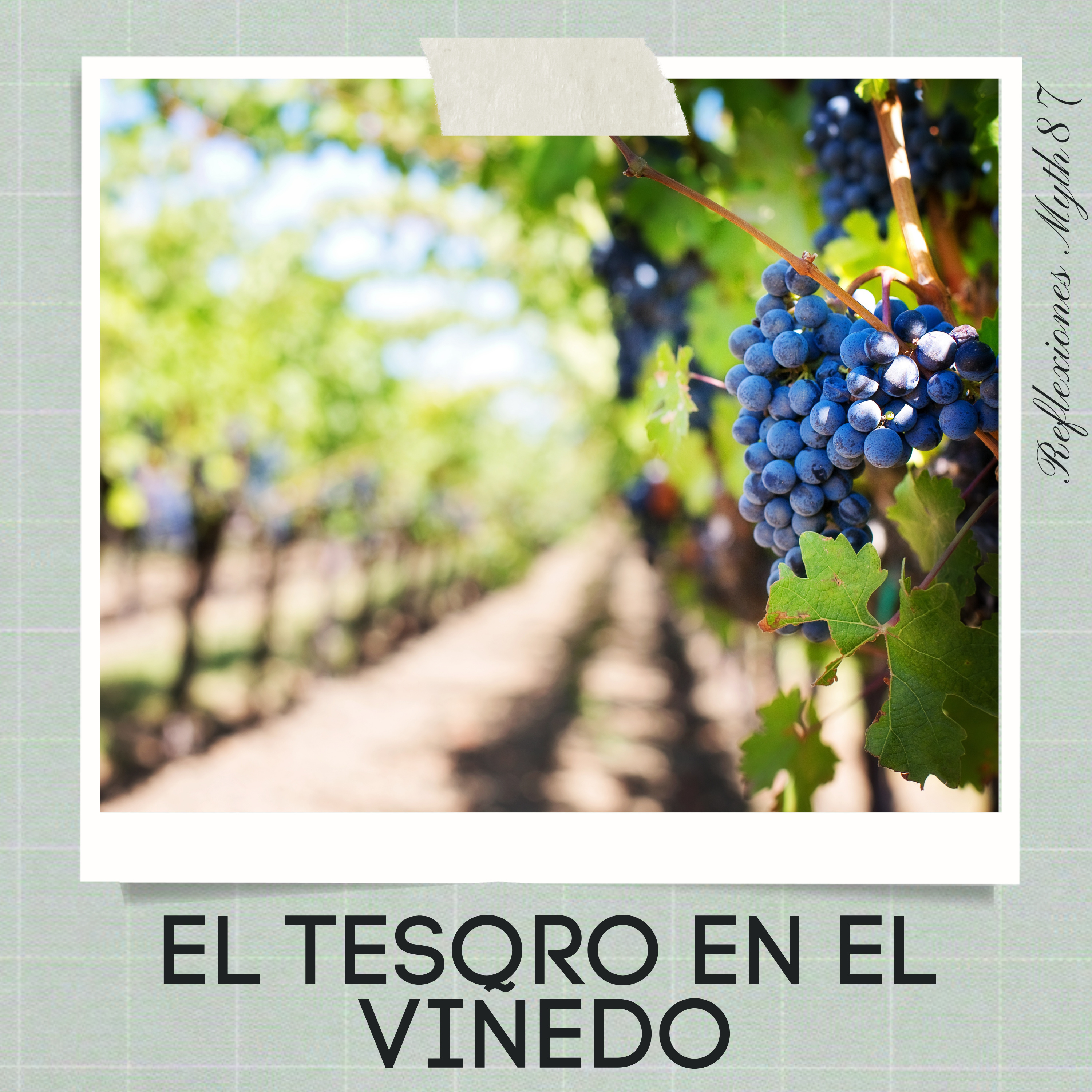 Reflexiones Myth87