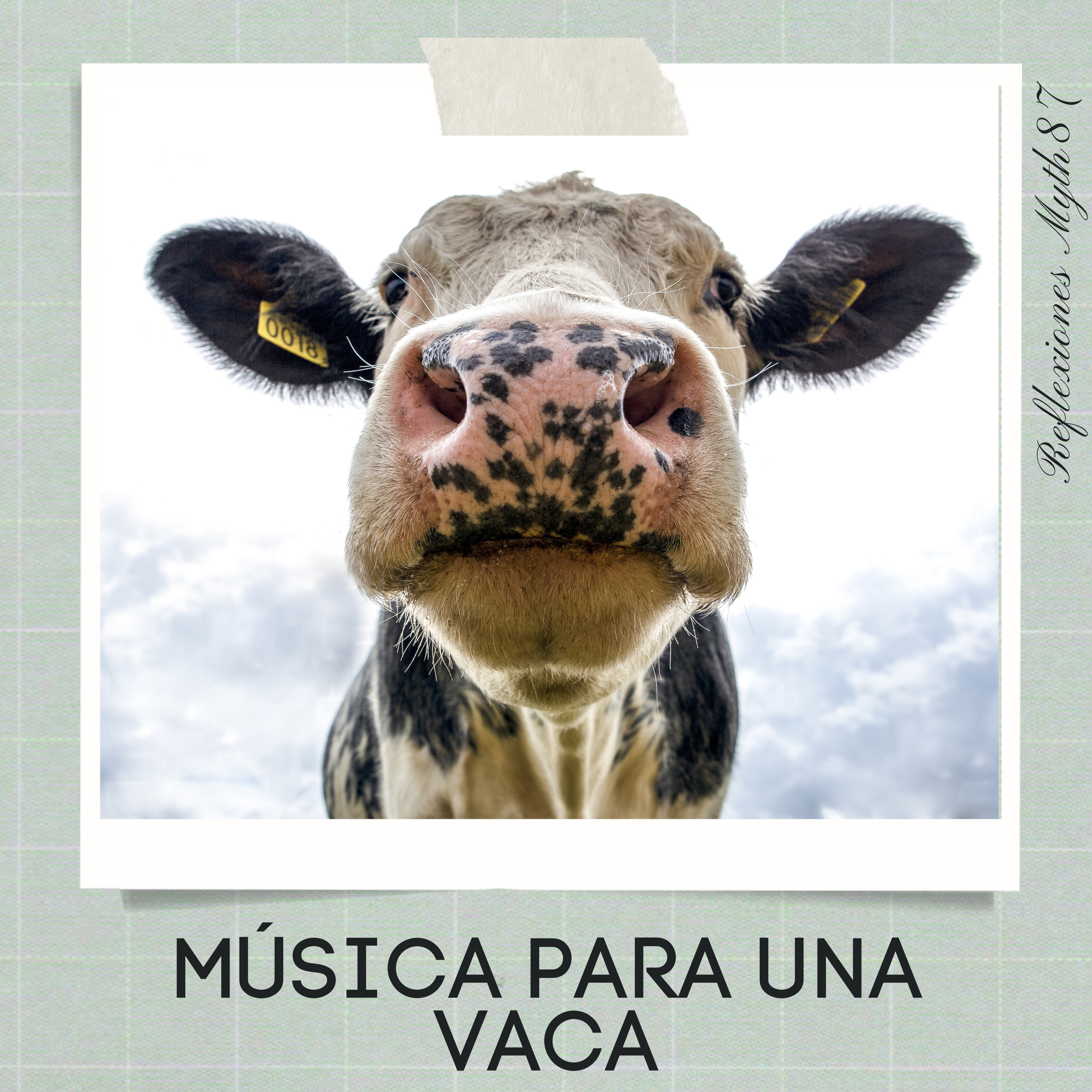 Reflexiones Myth87