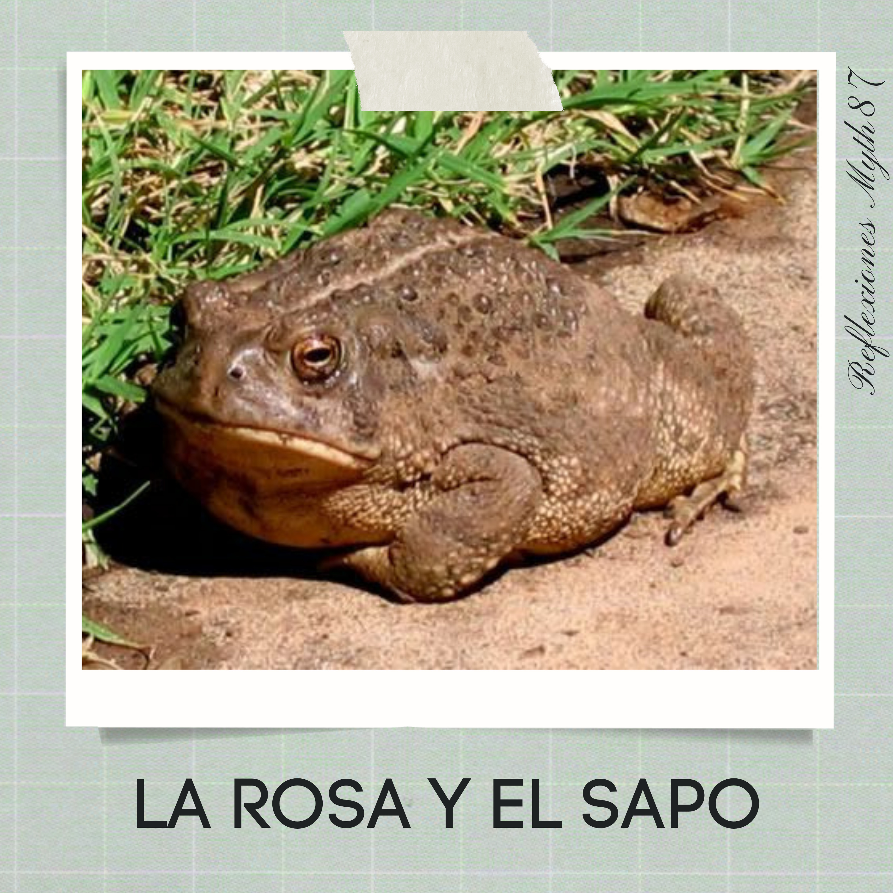 Reflexiones Myth87