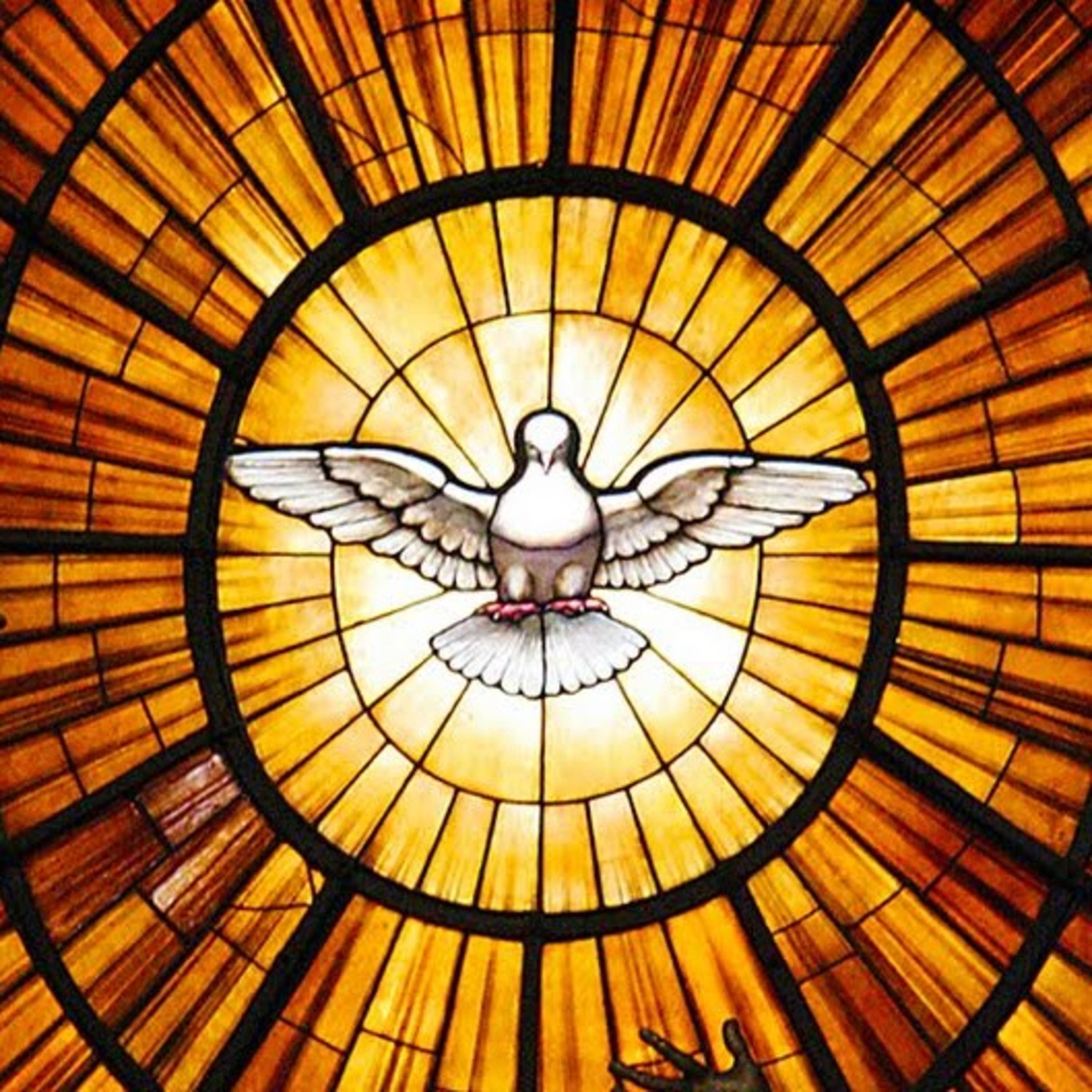 Come Holy Spirit! (16.5.19) 