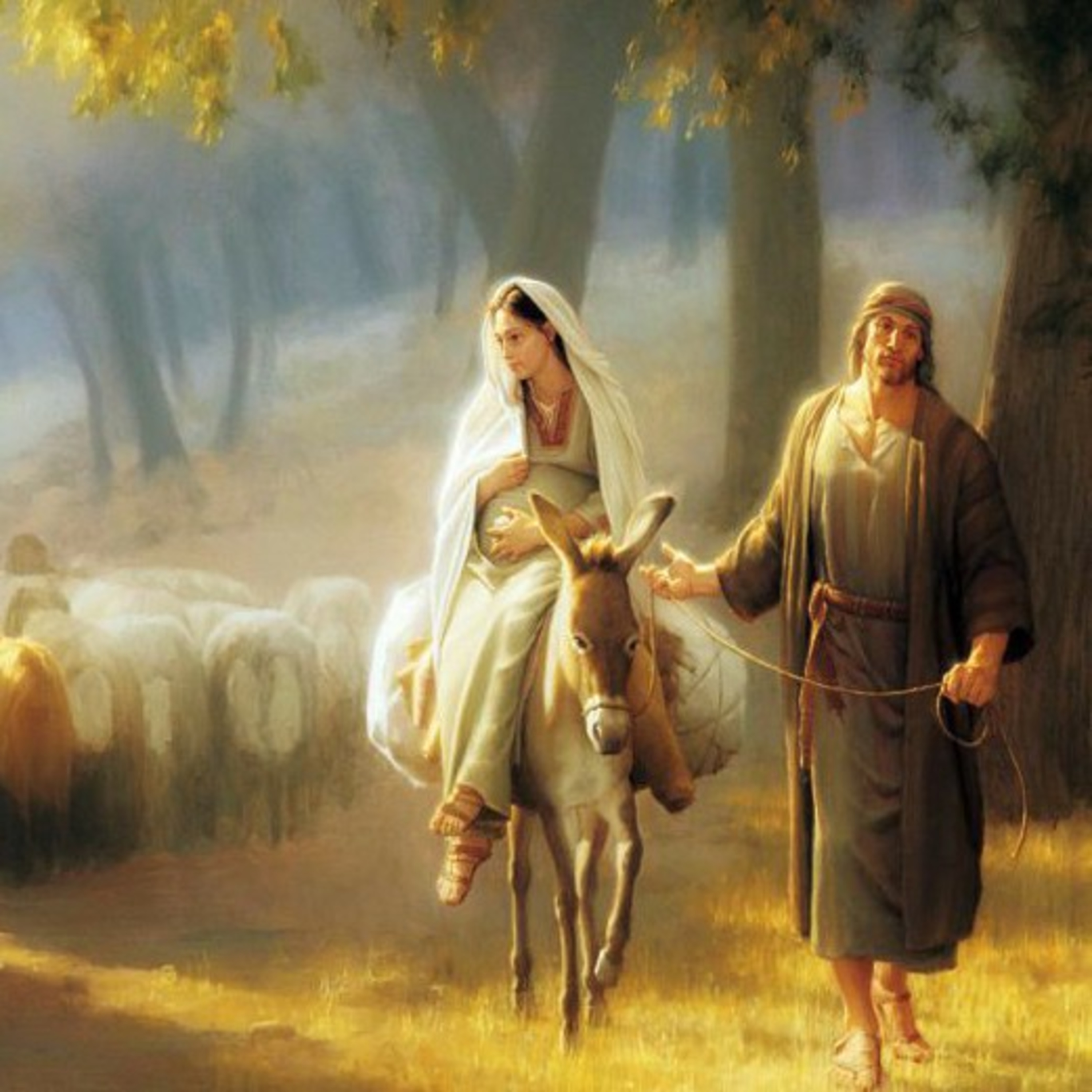 Advent: discovering Jesus and the Father